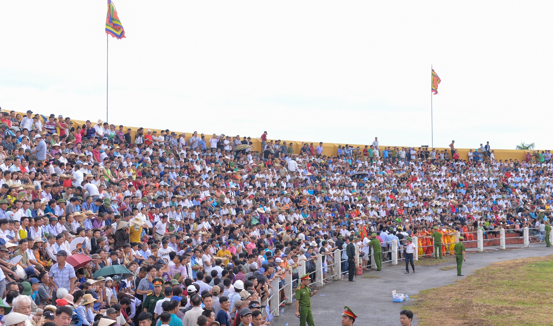 chọi trâu Đồ Sơn ảnh 2 choi trau Do Son anh 2