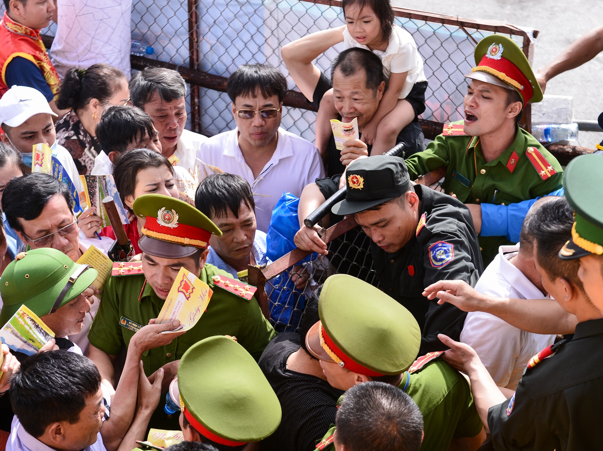 chọi trâu Đồ Sơn ảnh 7 choi trau Do Son anh 7