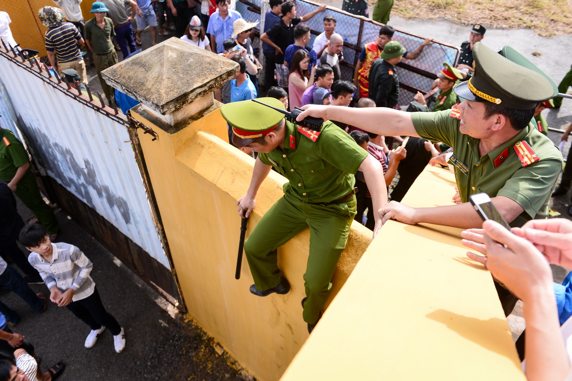 chọi trâu Đồ Sơn ảnh 10 choi trau Do Son anh 10