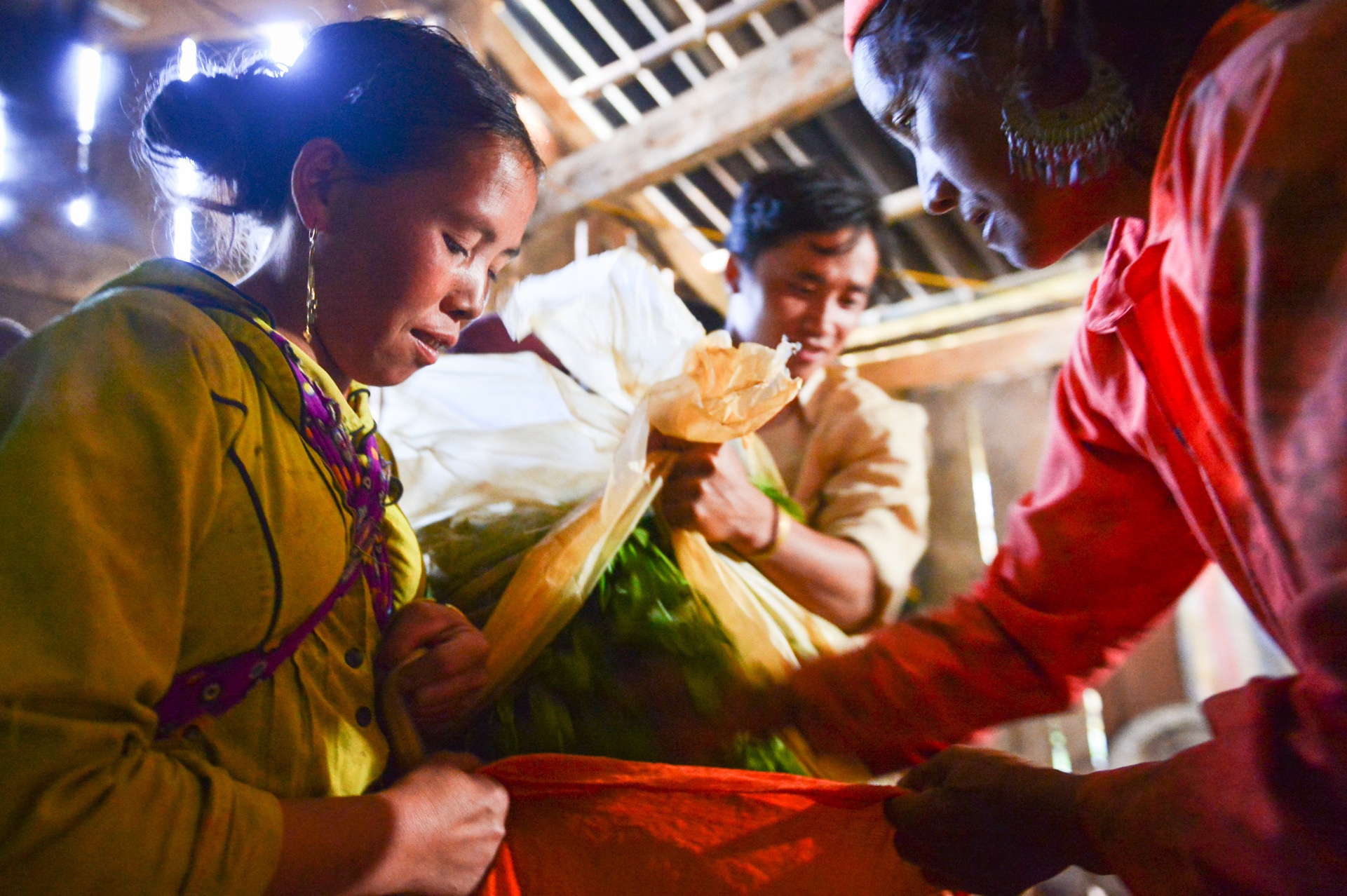 kỹ sư bỏ việc đi tìm vàng xanh ảnh 15 ky su bo viec di tim vang xanh anh 15