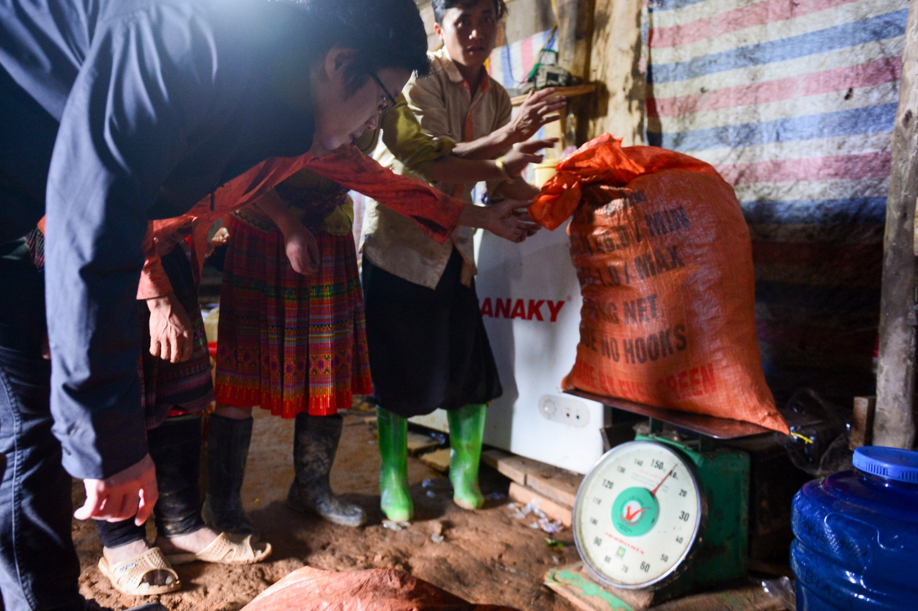 kỹ sư bỏ việc đi tìm vàng xanh ảnh 16 ky su bo viec di tim vang xanh anh 16