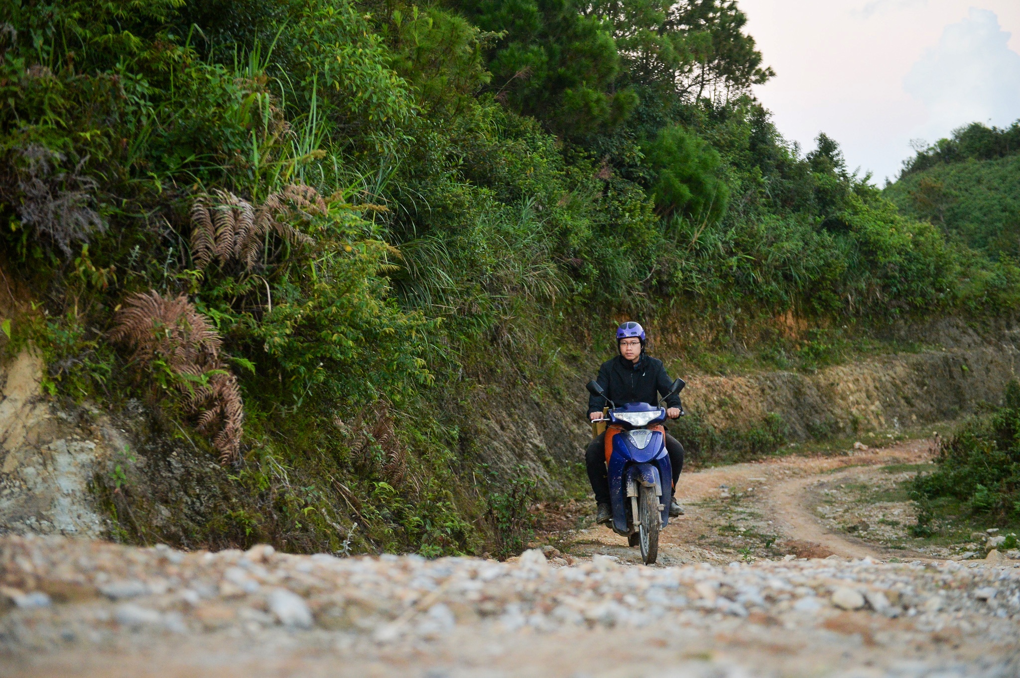 kỹ sư bỏ việc đi tìm vàng xanh ảnh 6 ky su bo viec di tim vang xanh anh 6