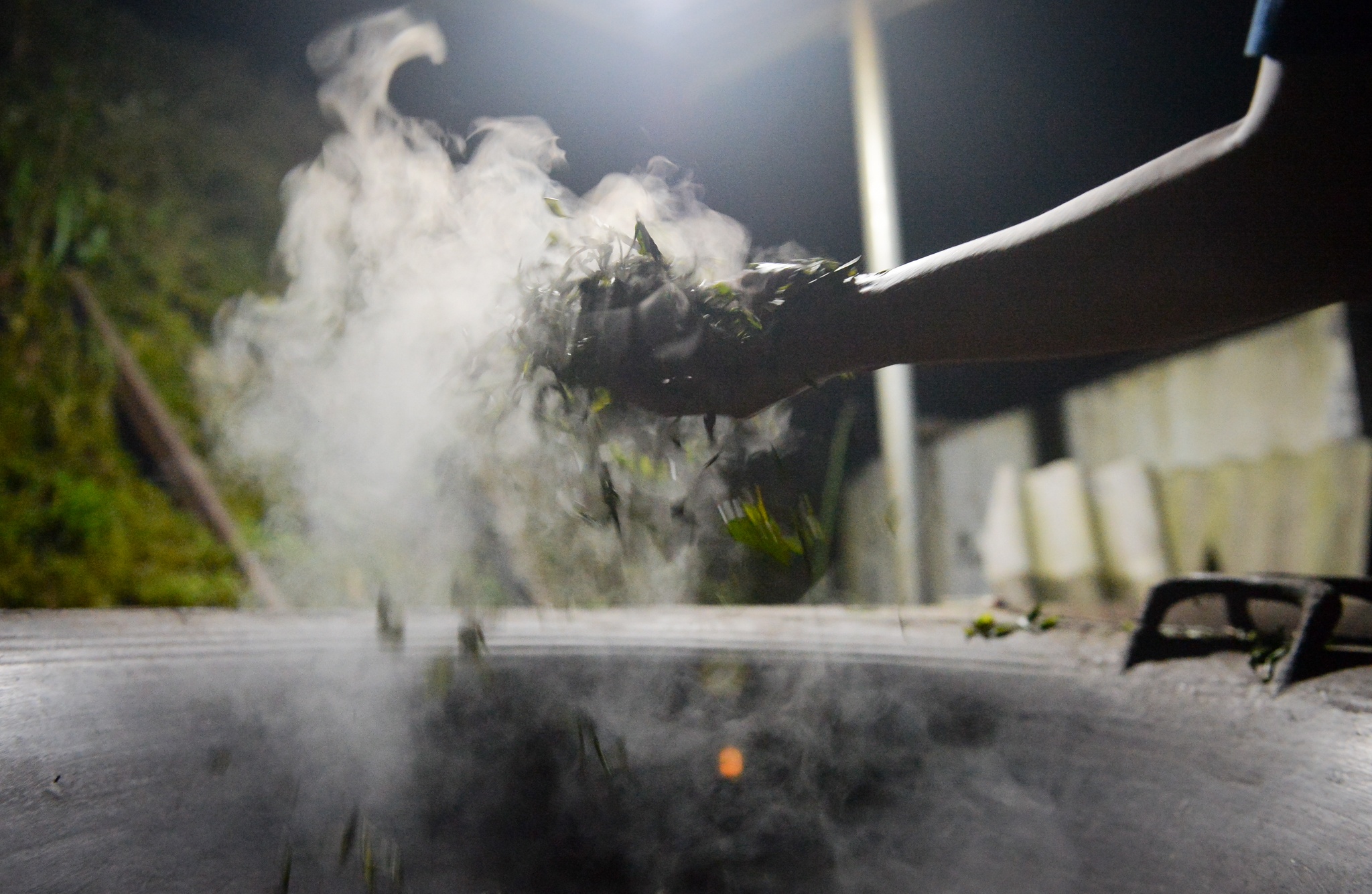 kỹ sư bỏ việc đi tìm vàng xanh ảnh 20 ky su bo viec di tim vang xanh anh 20