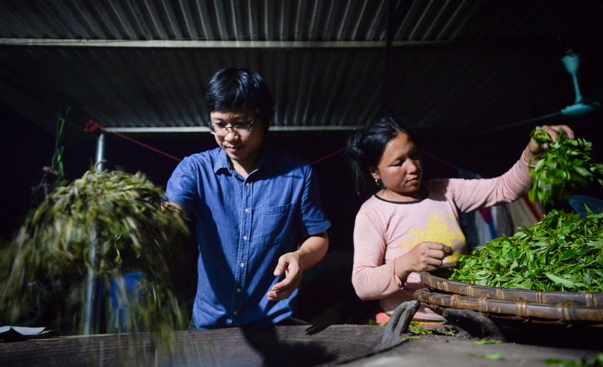 kỹ sư bỏ việc đi tìm vàng xanh ảnh 19 ky su bo viec di tim vang xanh anh 19