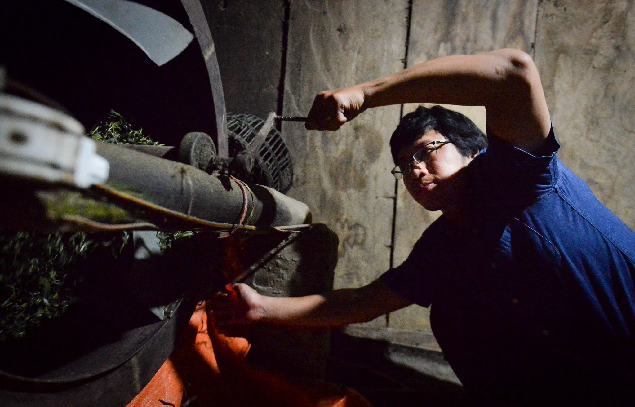 kỹ sư bỏ việc đi tìm vàng xanh ảnh 23 ky su bo viec di tim vang xanh anh 23