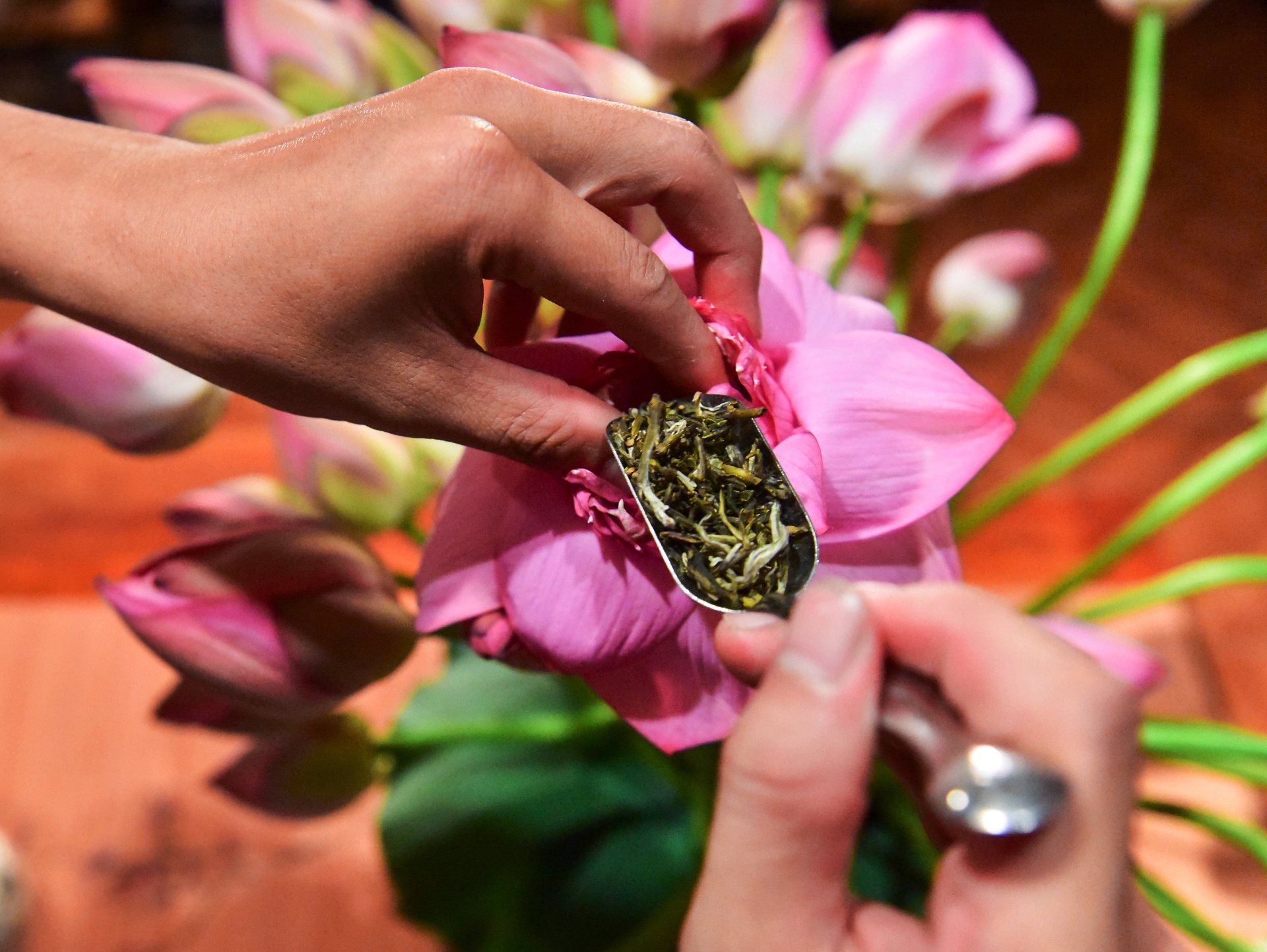 kỹ sư bỏ việc đi tìm vàng xanh ảnh 35 ky su bo viec di tim vang xanh anh 35