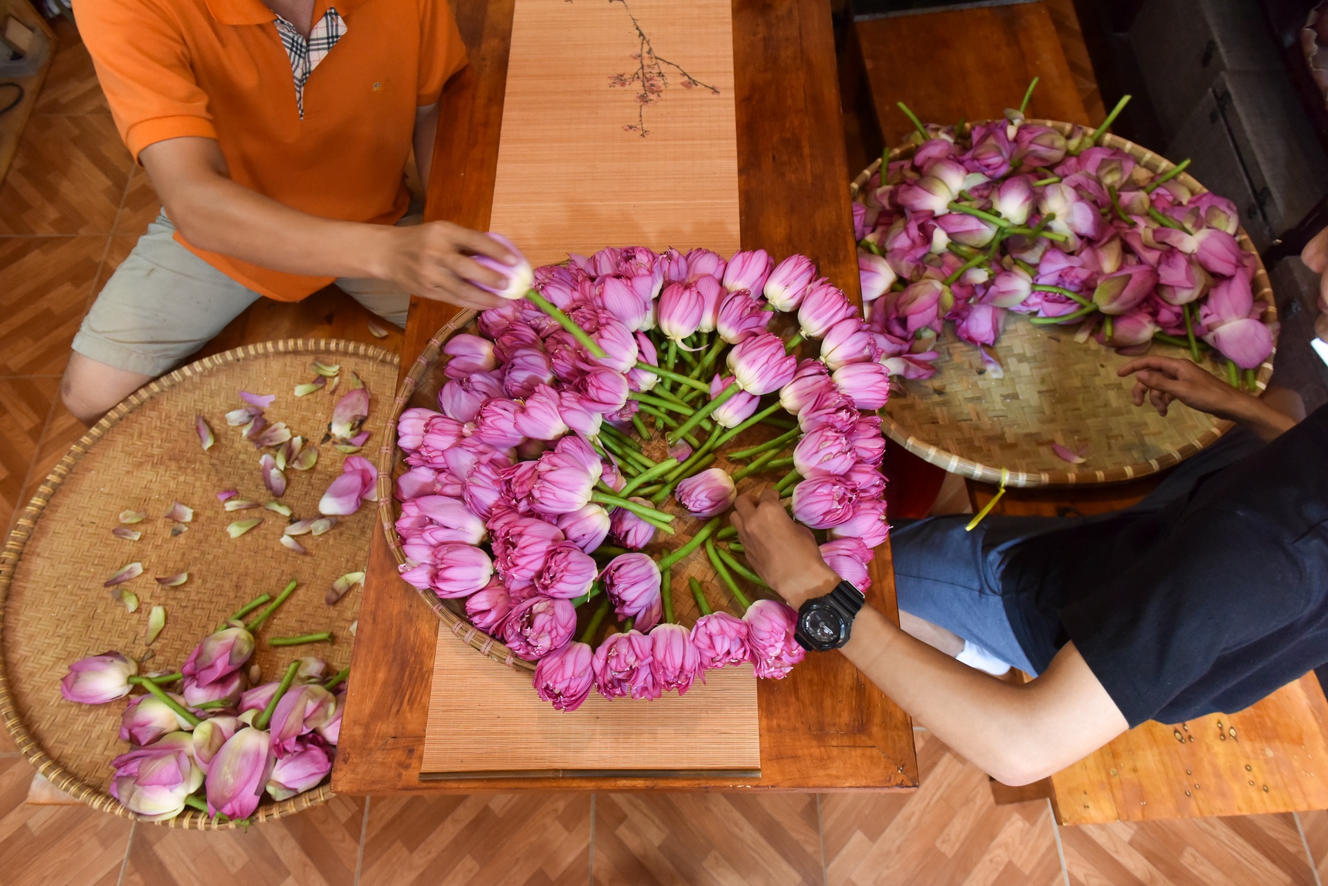 kỹ sư bỏ việc đi tìm vàng xanh ảnh 37 ky su bo viec di tim vang xanh anh 37