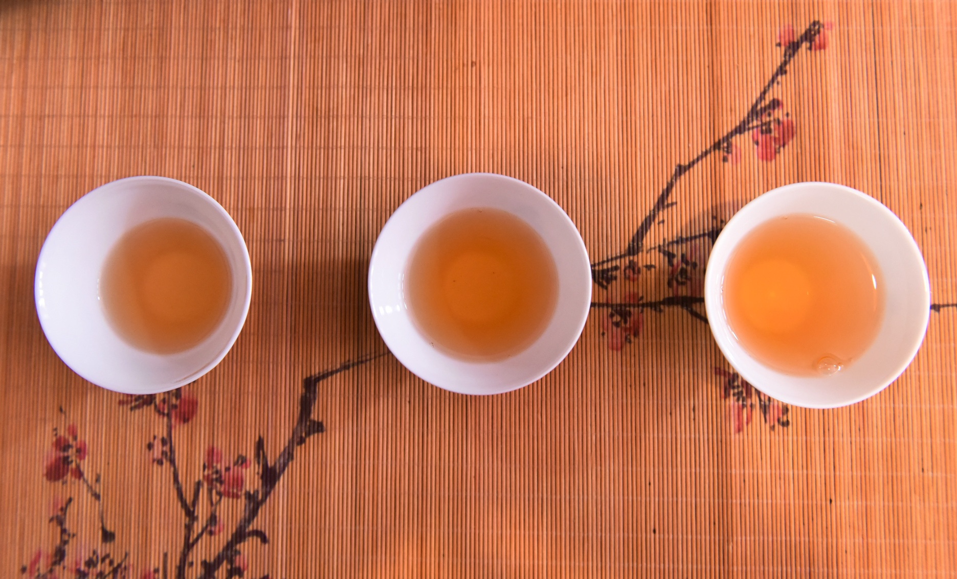 kỹ sư bỏ việc đi tìm vàng xanh ảnh 5 ky su bo viec di tim vang xanh anh 5