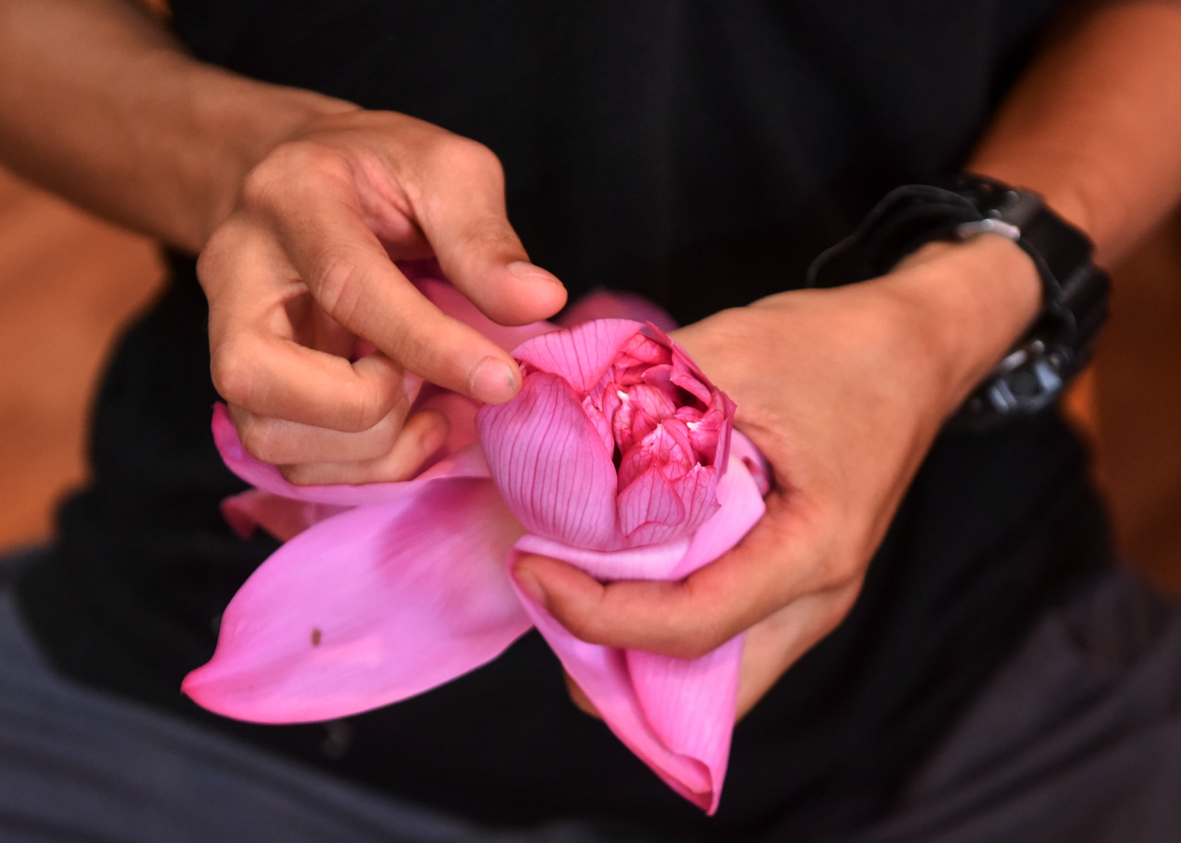 kỹ sư bỏ việc đi tìm vàng xanh ảnh 39 ky su bo viec di tim vang xanh anh 39