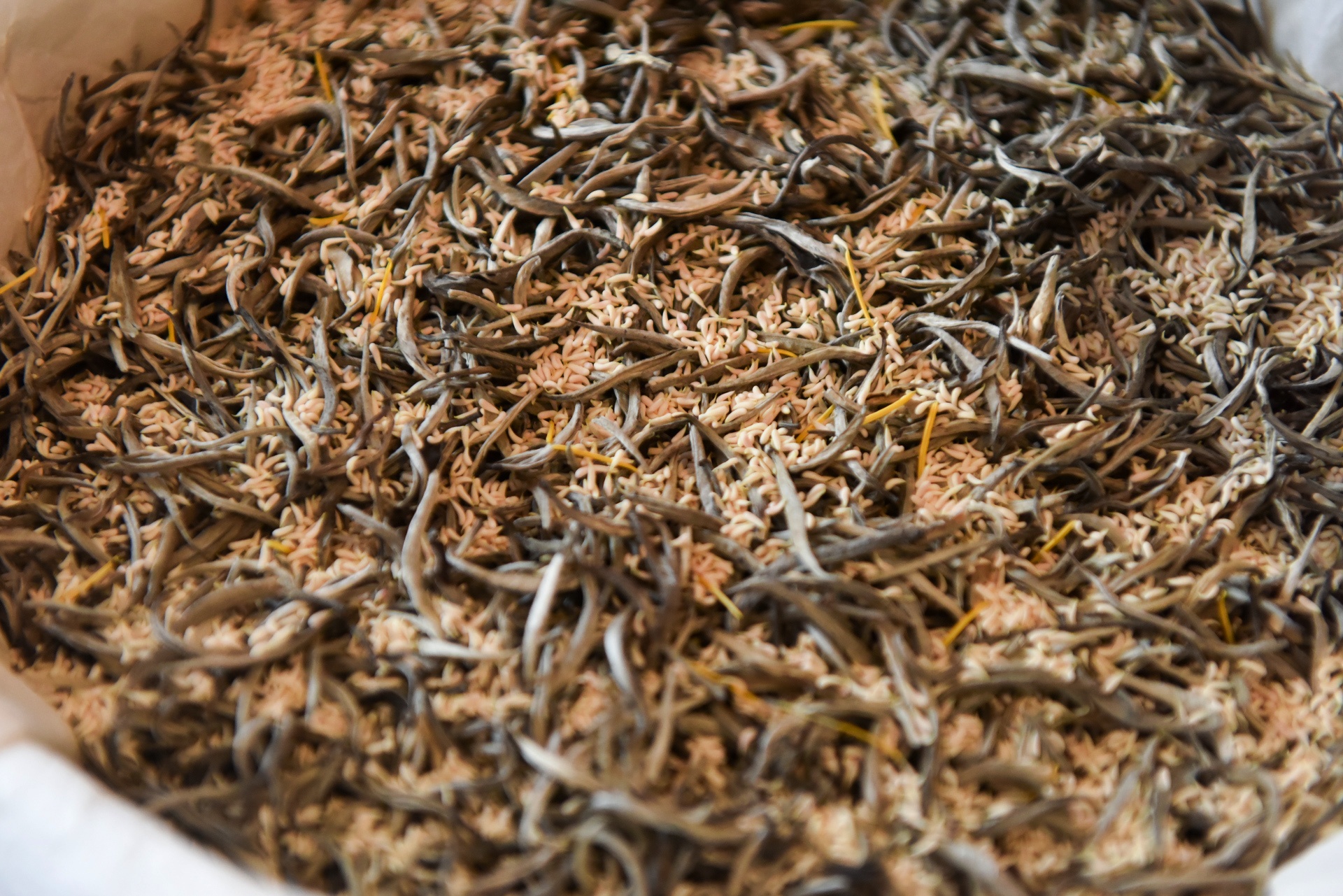 kỹ sư bỏ việc đi tìm vàng xanh ảnh 43 ky su bo viec di tim vang xanh anh 43