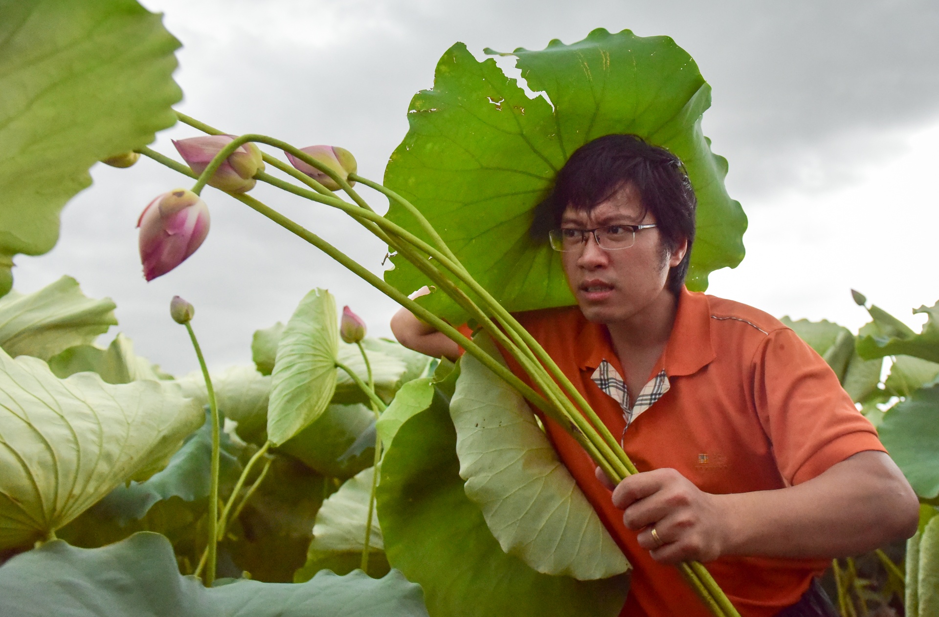 kỹ sư bỏ việc đi tìm vàng xanh ảnh 28 ky su bo viec di tim vang xanh anh 28