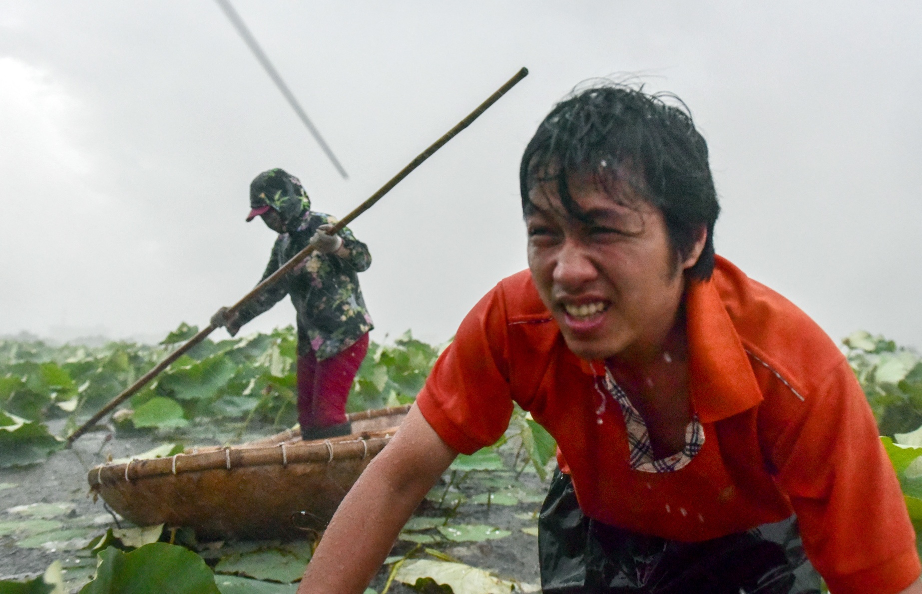 kỹ sư bỏ việc đi tìm vàng xanh ảnh 29 ky su bo viec di tim vang xanh anh 29