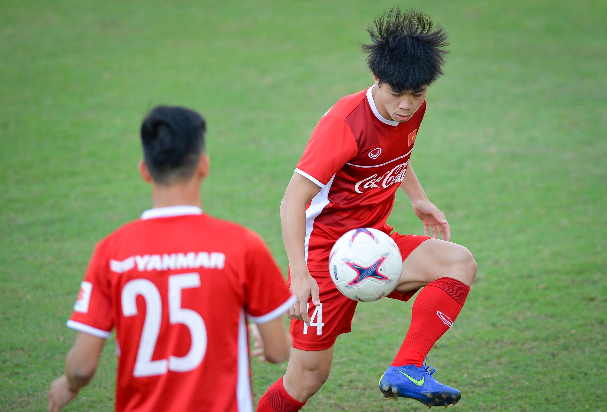 Park Hang-seo xau kim Anh Duc anh 1