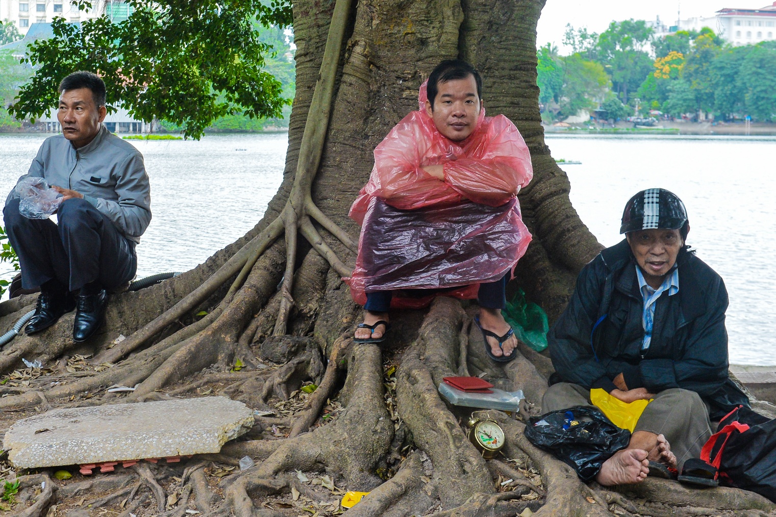 Pho phuong Ha Noi trong ngay lanh 19 do C hinh anh