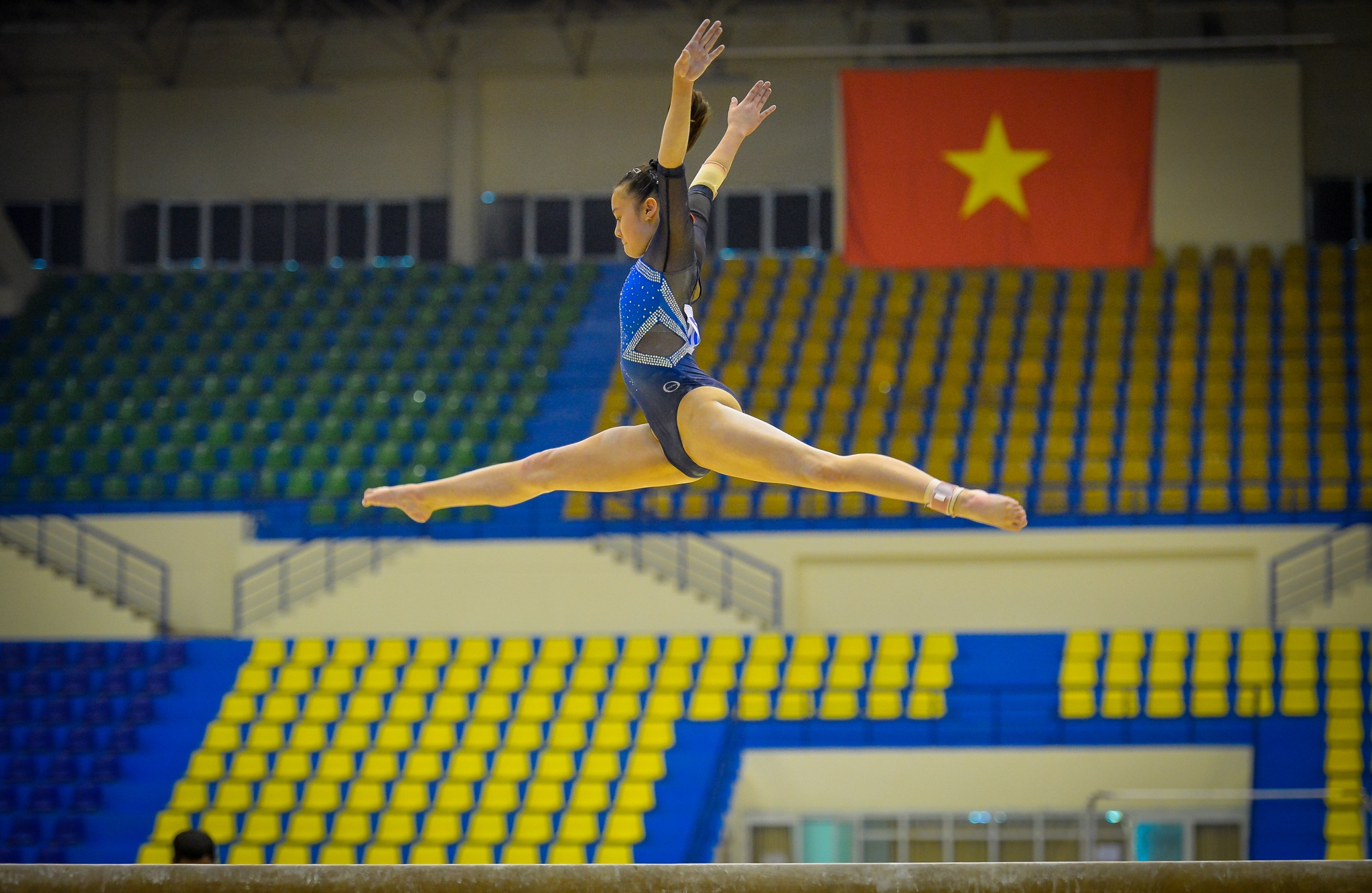 Bong hong Viet kieu anh 1