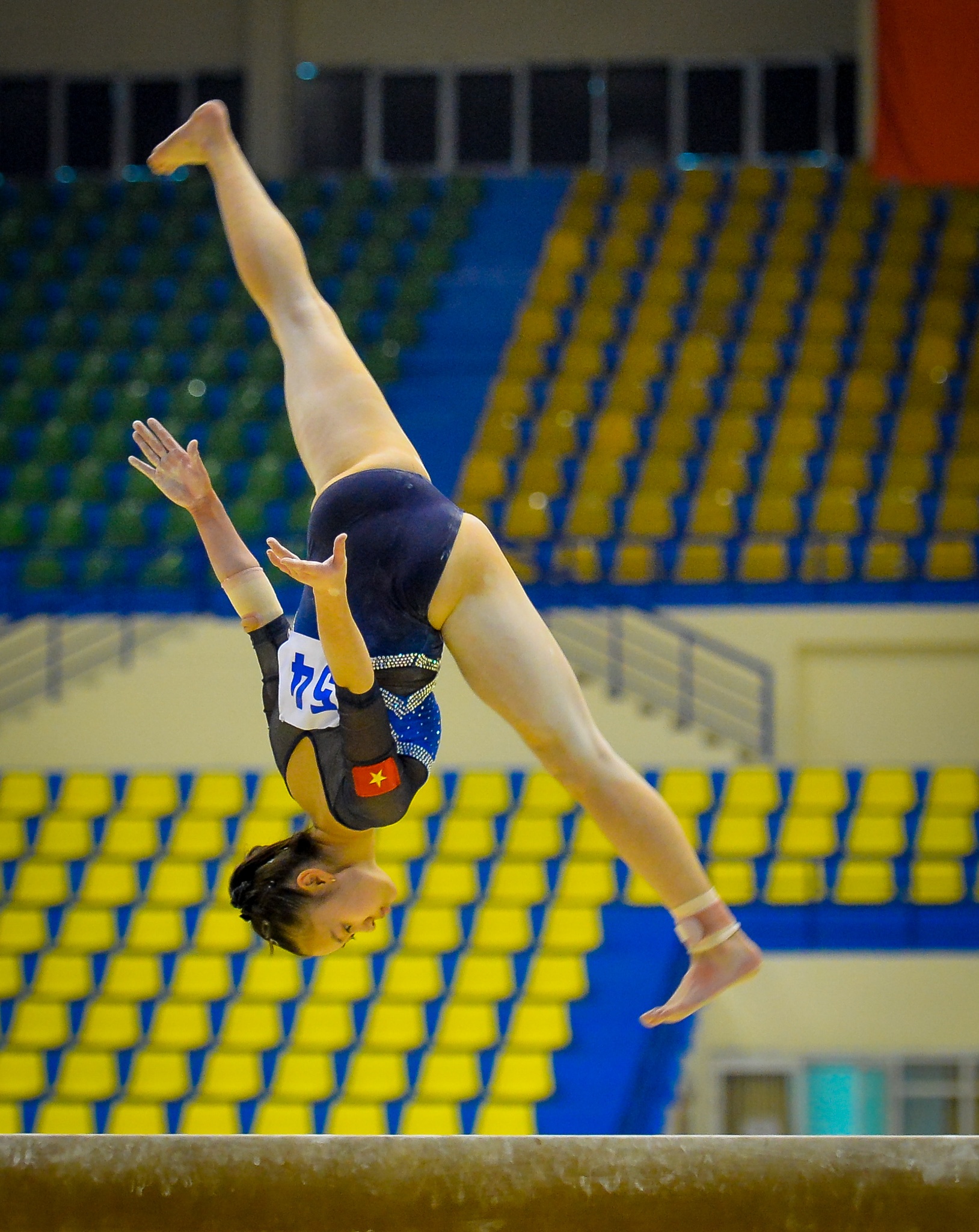 Bong hong Viet kieu anh 2