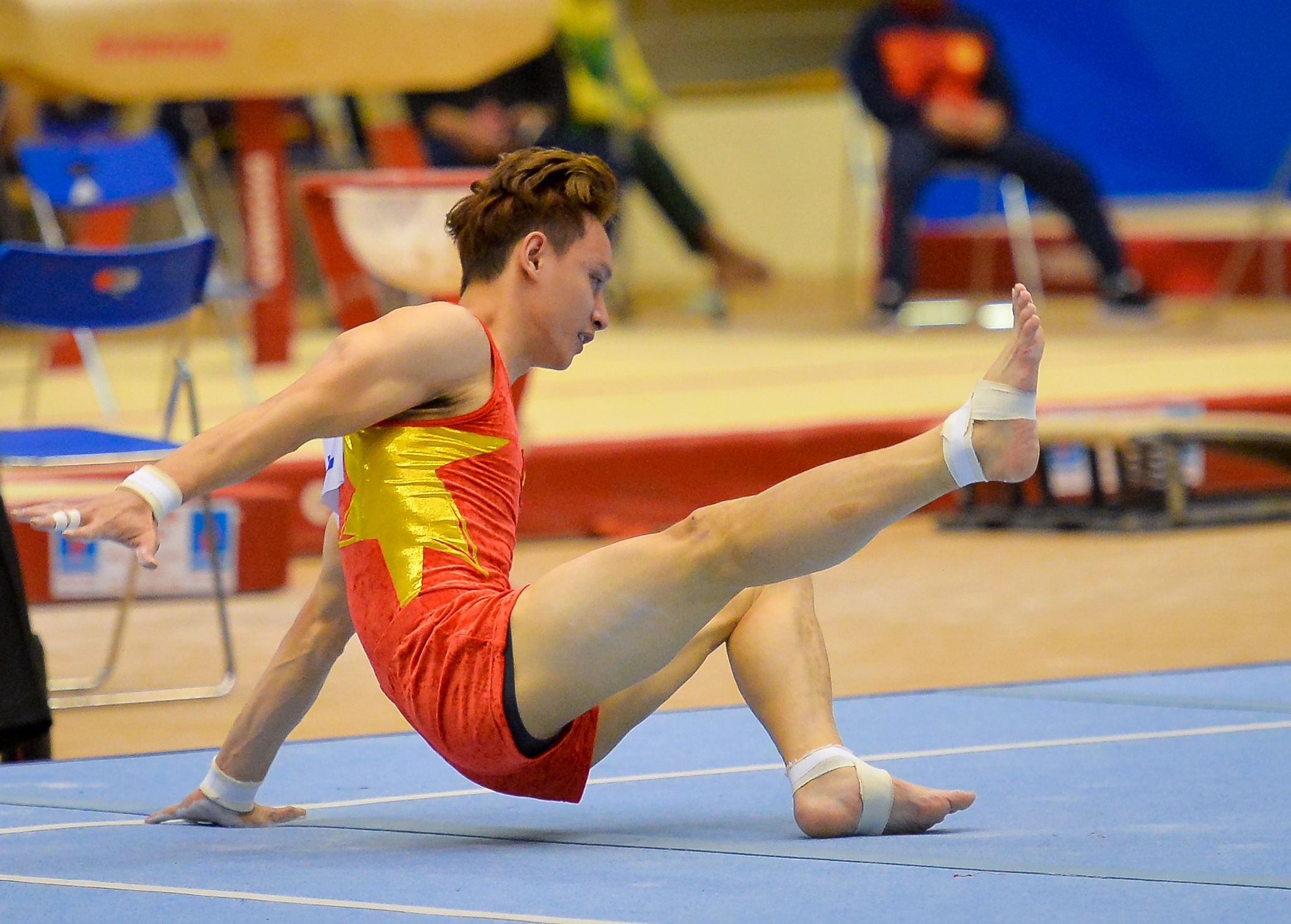 Bong hong Viet kieu anh 9