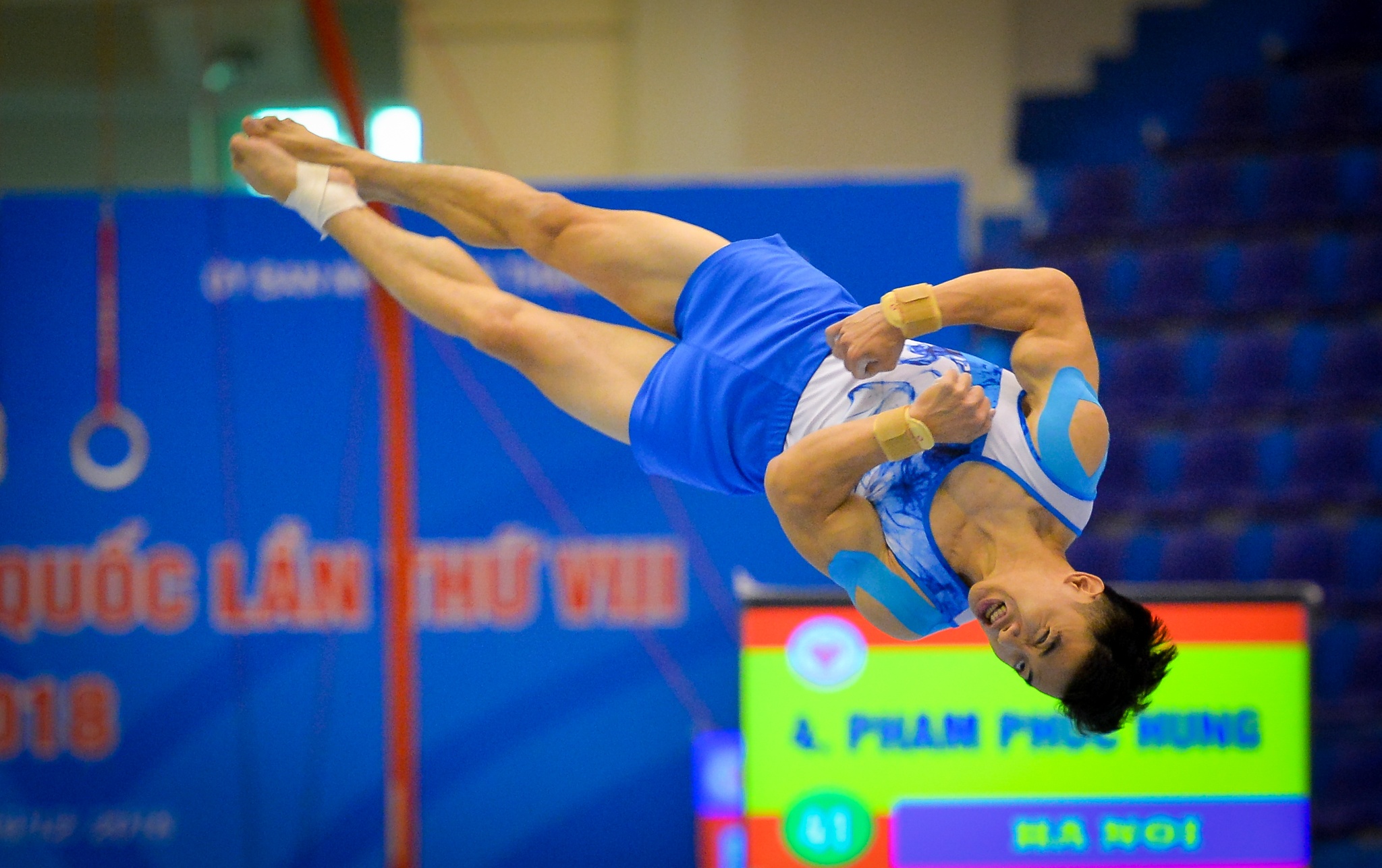 Bong hong Viet kieu anh 10