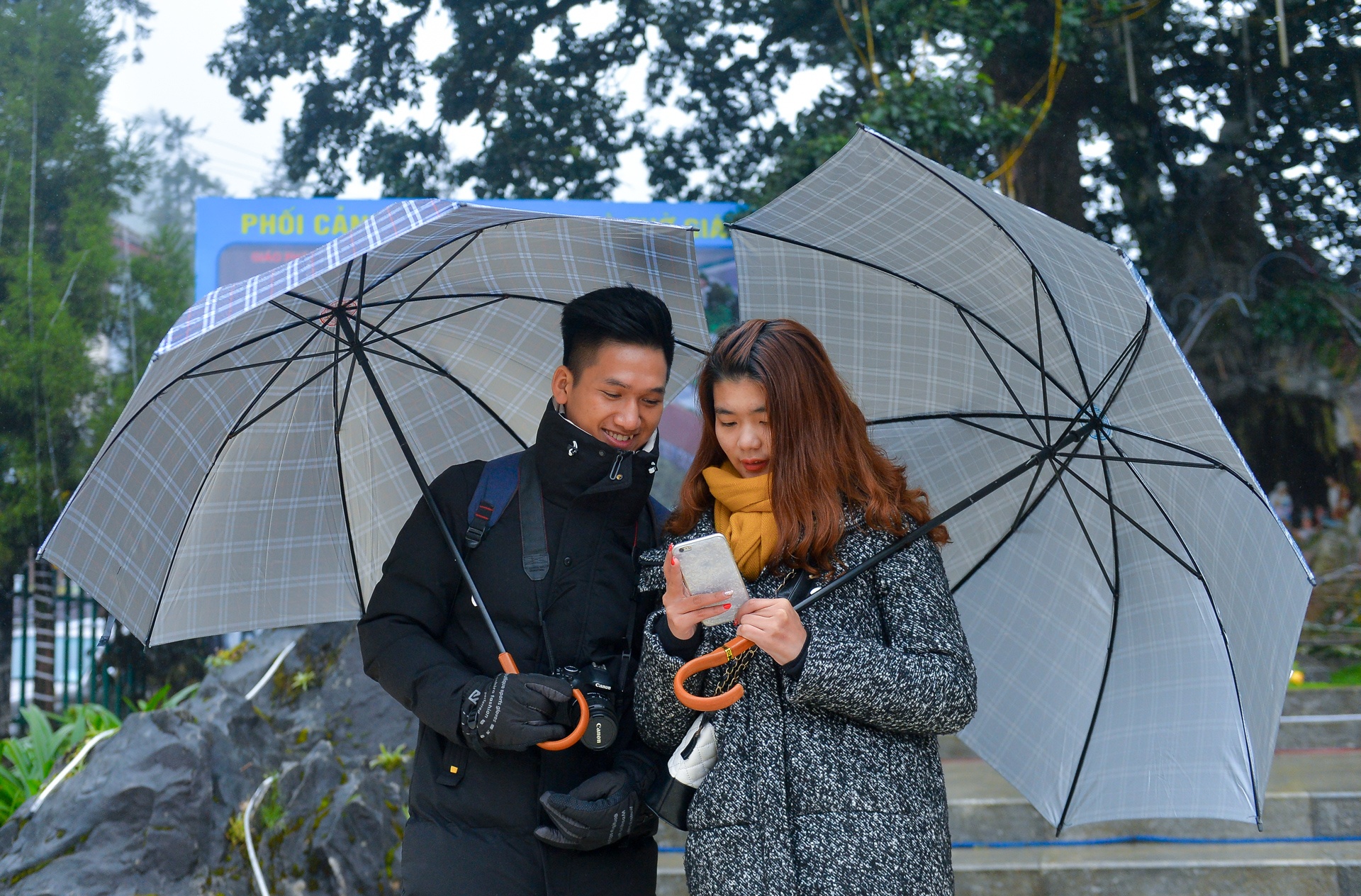 du khach do len Sa Pa anh 4