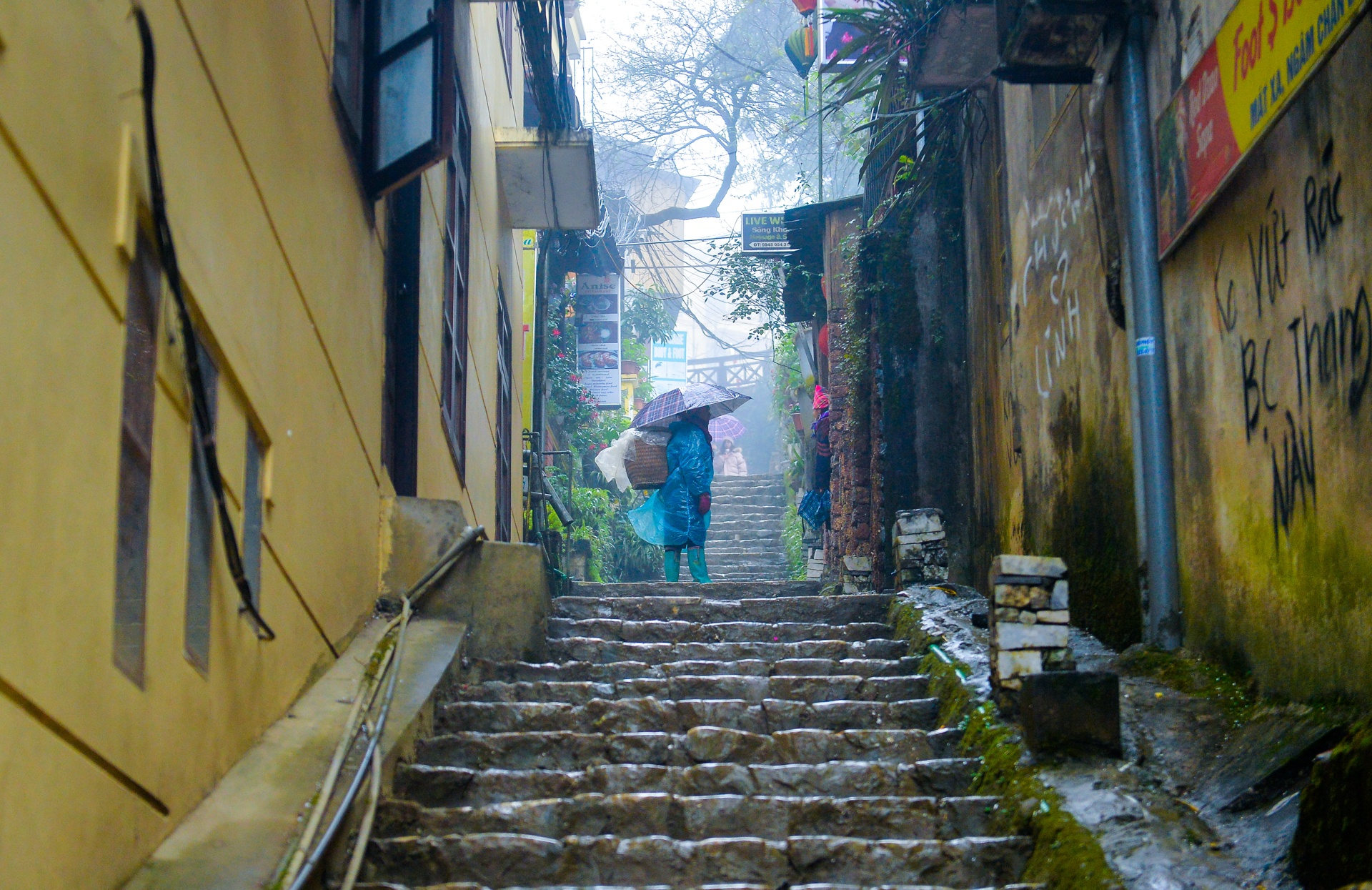 du khach do len Sa Pa anh 6