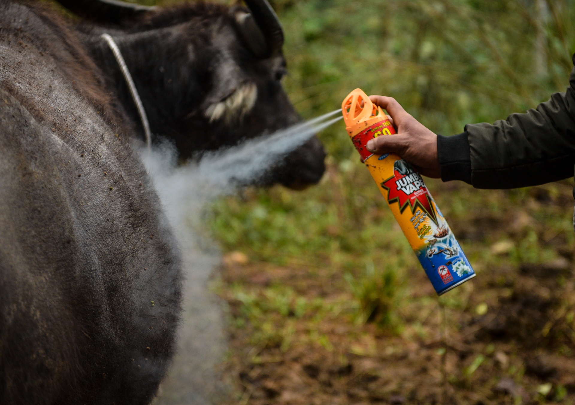 Hanh trinh doi lap o Sa Pa anh 29