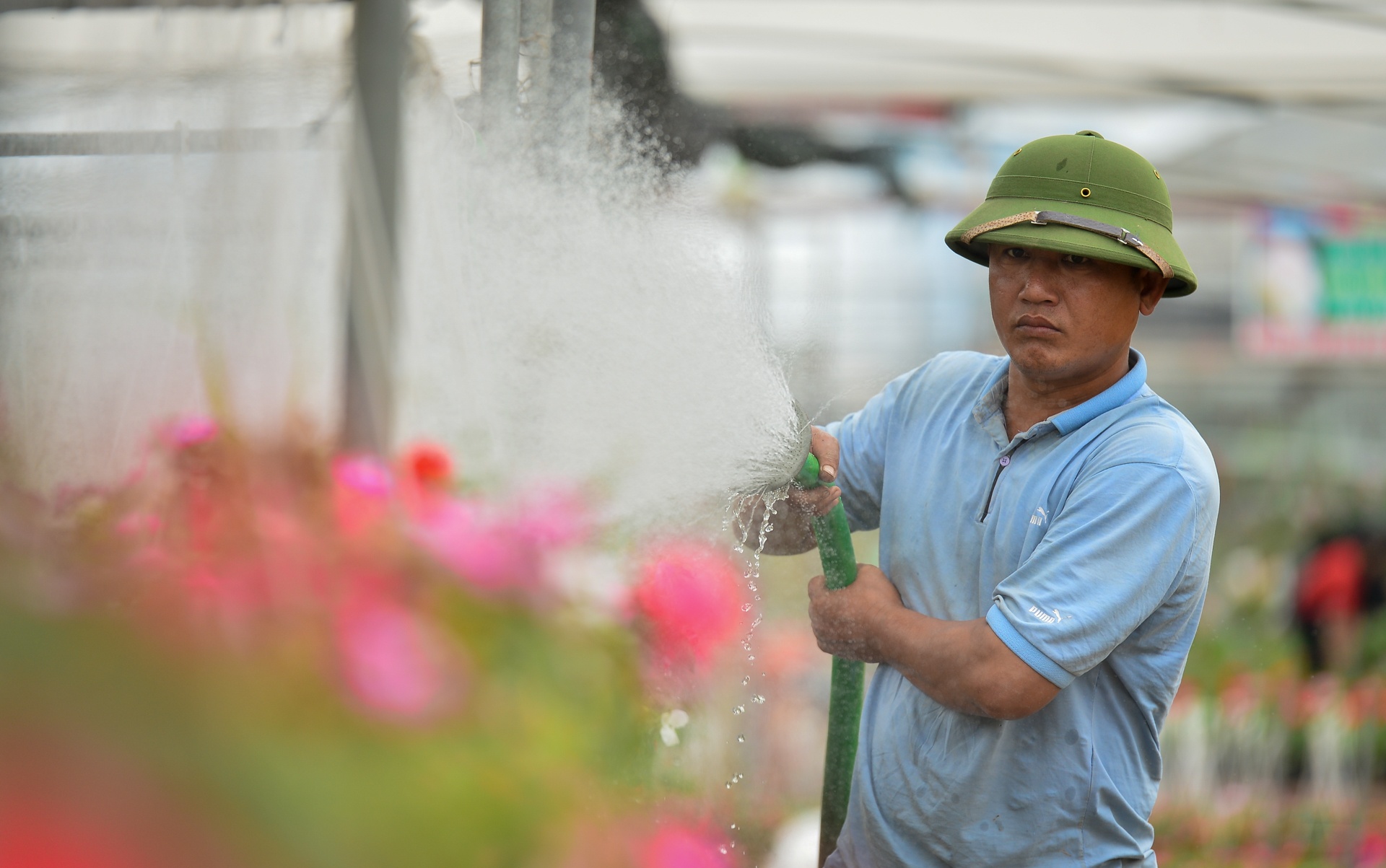 gia hoa Xuan Quan giam manh truoc Tet anh 2