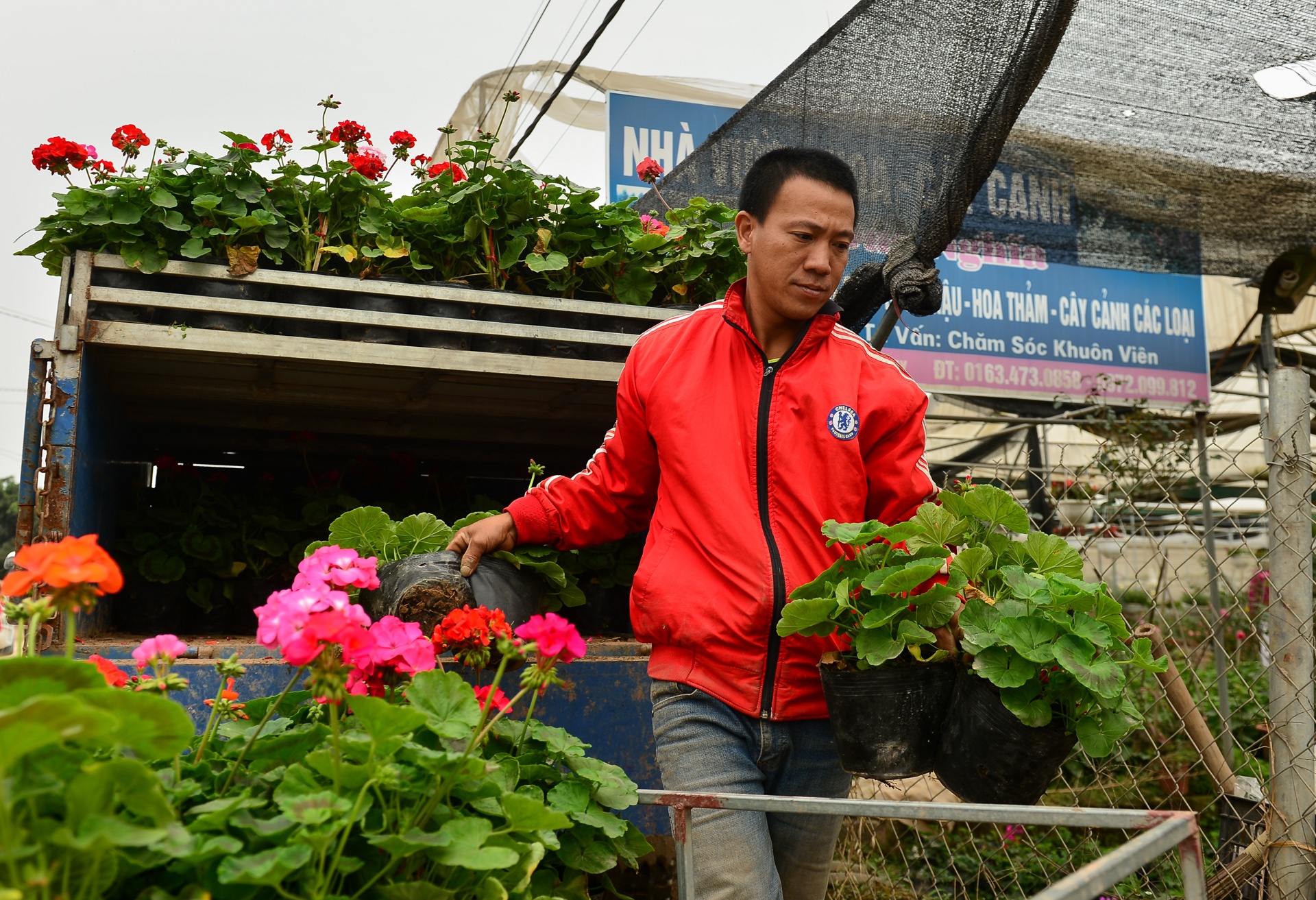 gia hoa Xuan Quan giam manh truoc Tet anh 5