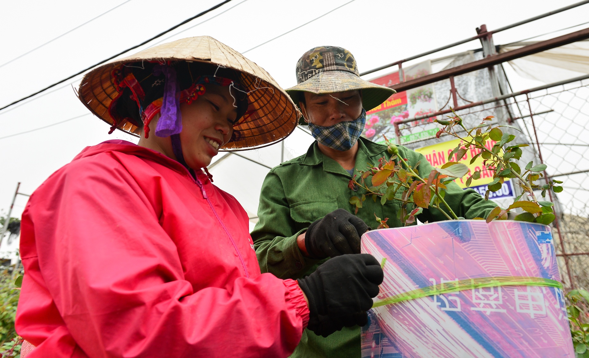 gia hoa Xuan Quan giam manh truoc Tet anh 7