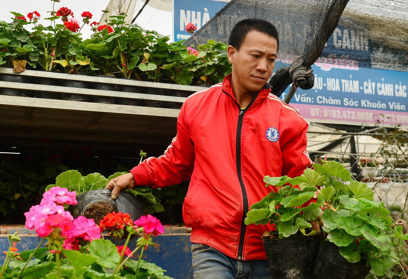 Gia hoa giam, dan van du kien thu tien ty dip giap Tet hinh anh