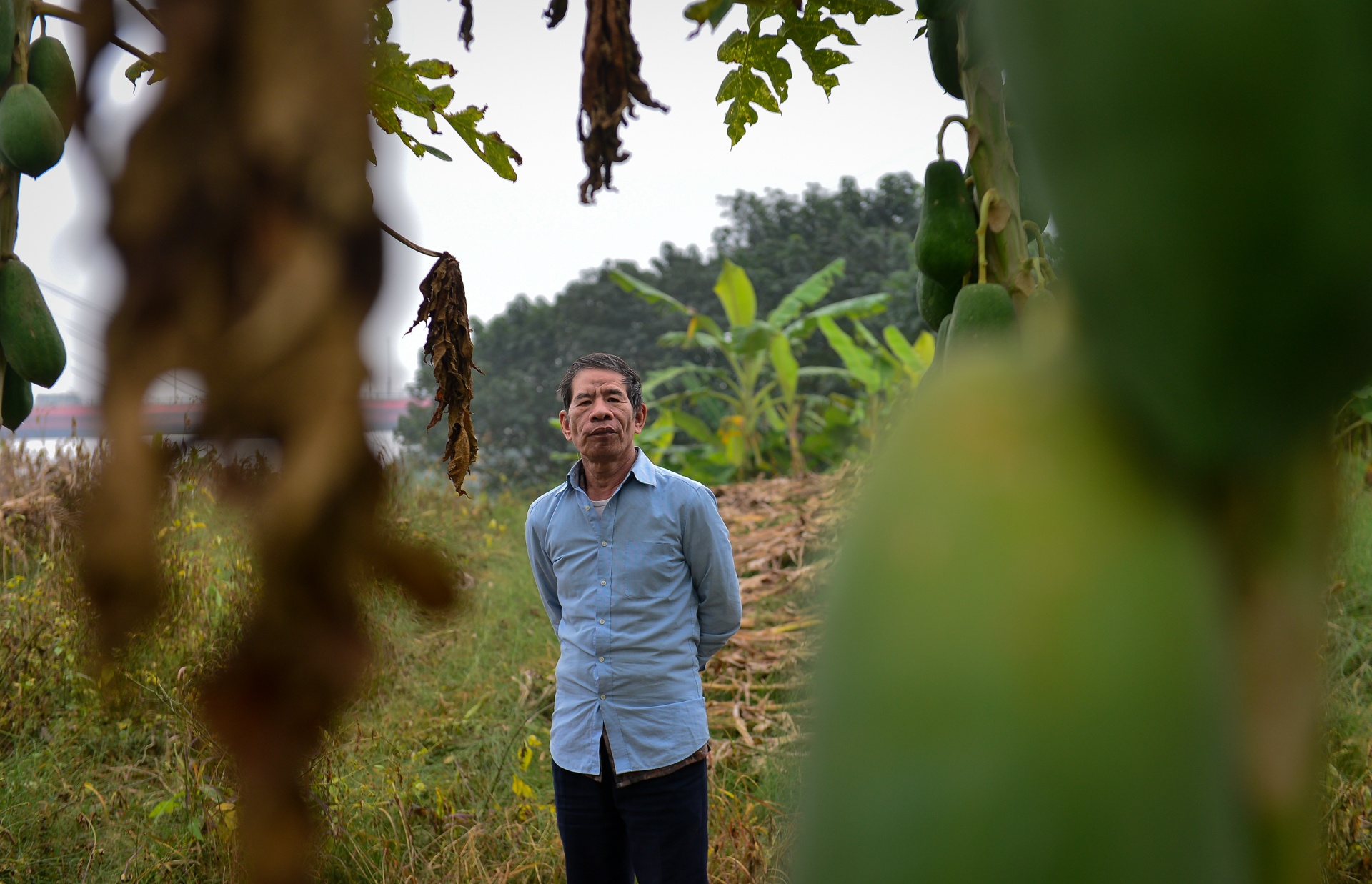 bai giua cau Nhat Tan anh 25