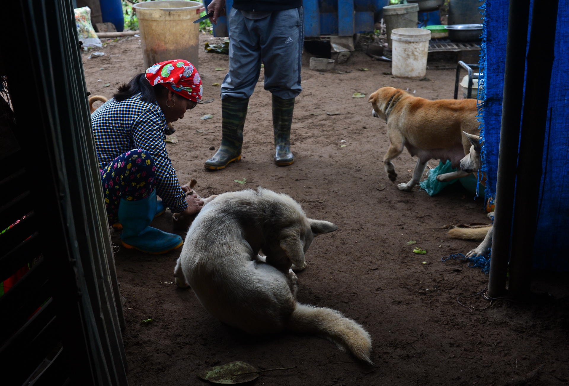 bai giua cau Nhat Tan anh 8