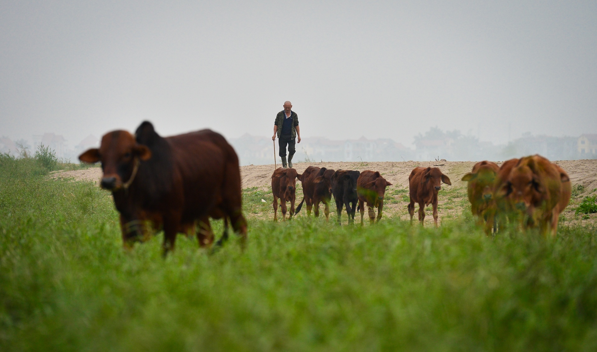 bai giua cau Nhat Tan anh 40