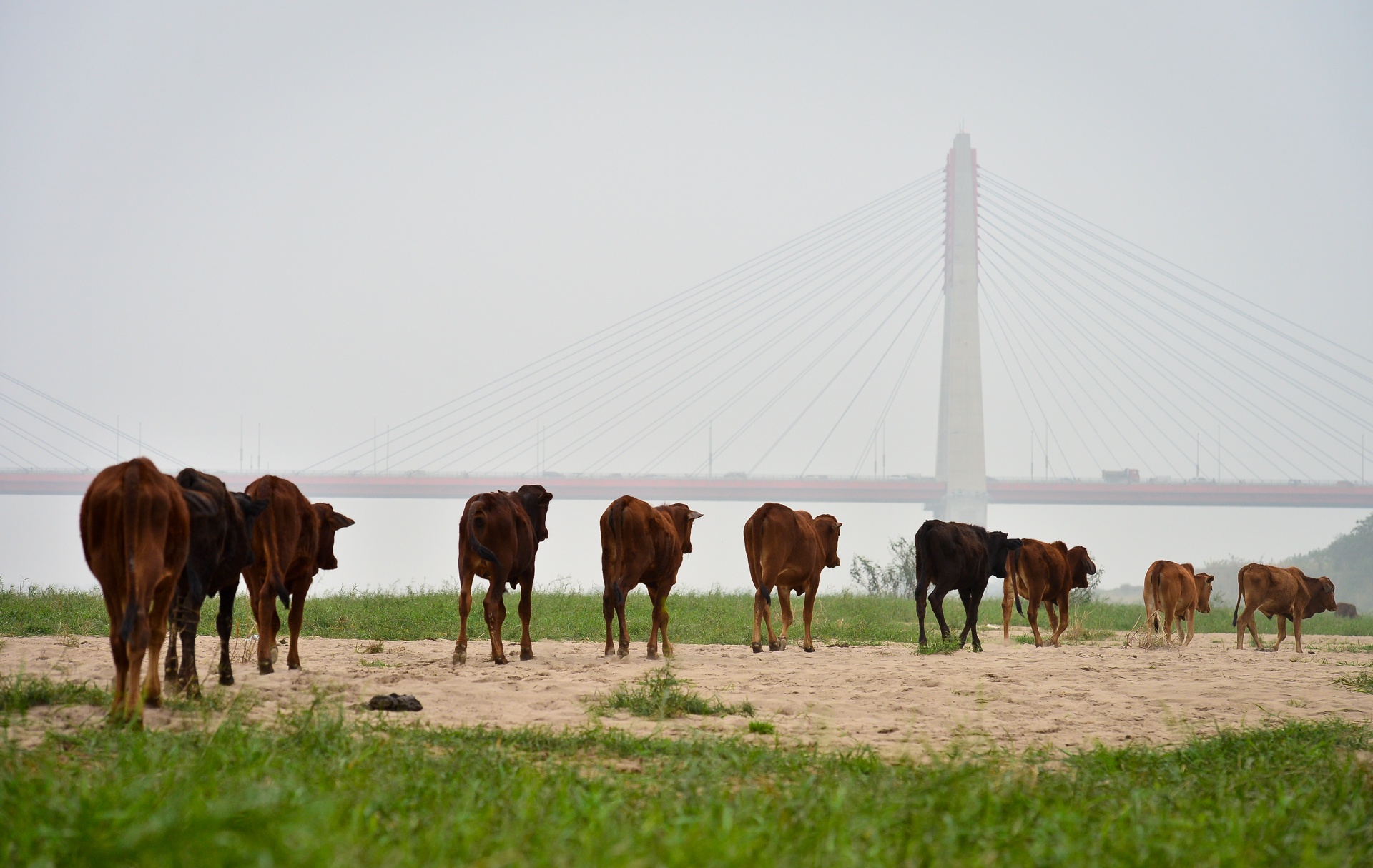 bai giua cau Nhat Tan anh 44