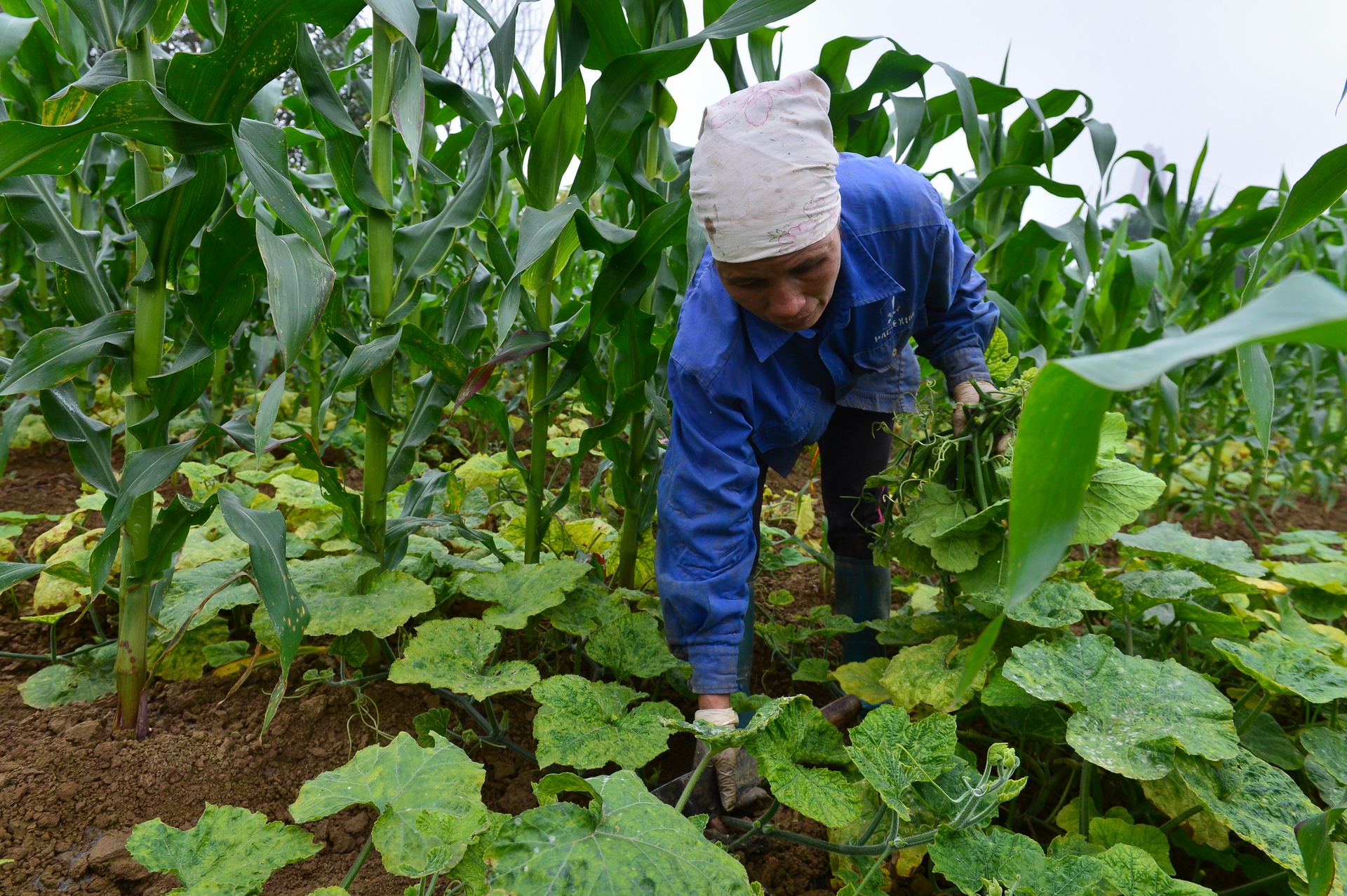 bai giua cau Nhat Tan anh 11