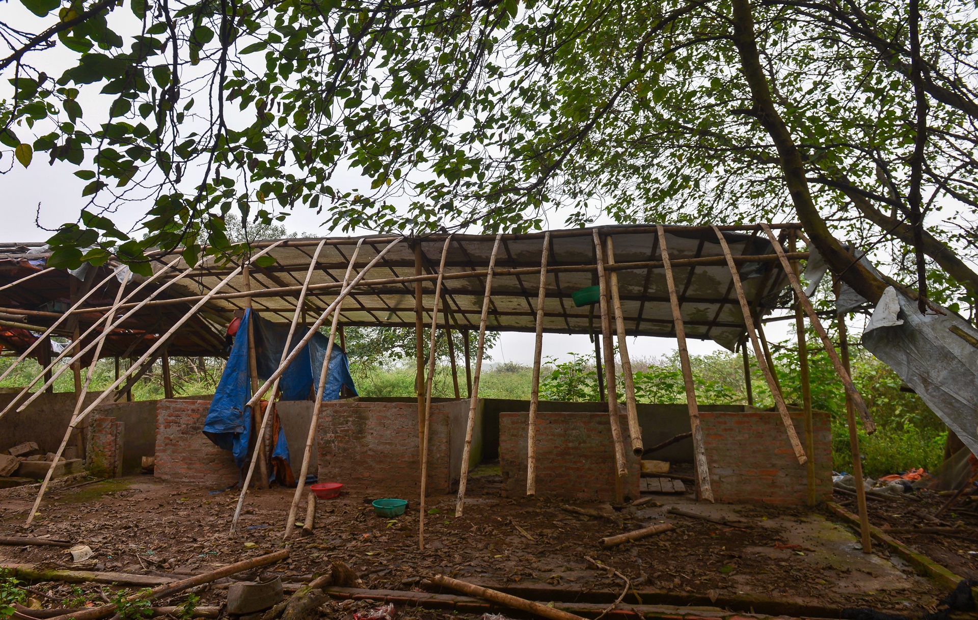 bai giua cau Nhat Tan anh 14