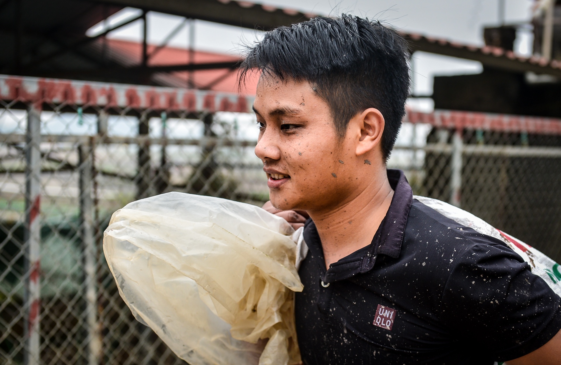 Giá cá chép đỏ ảnh 3 Gia ca chep do anh 3