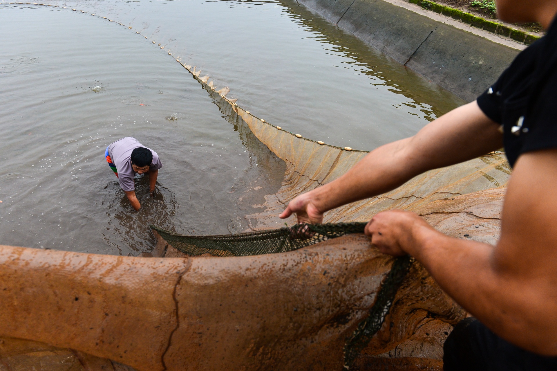 lang ca chep Thuy Tram anh 1