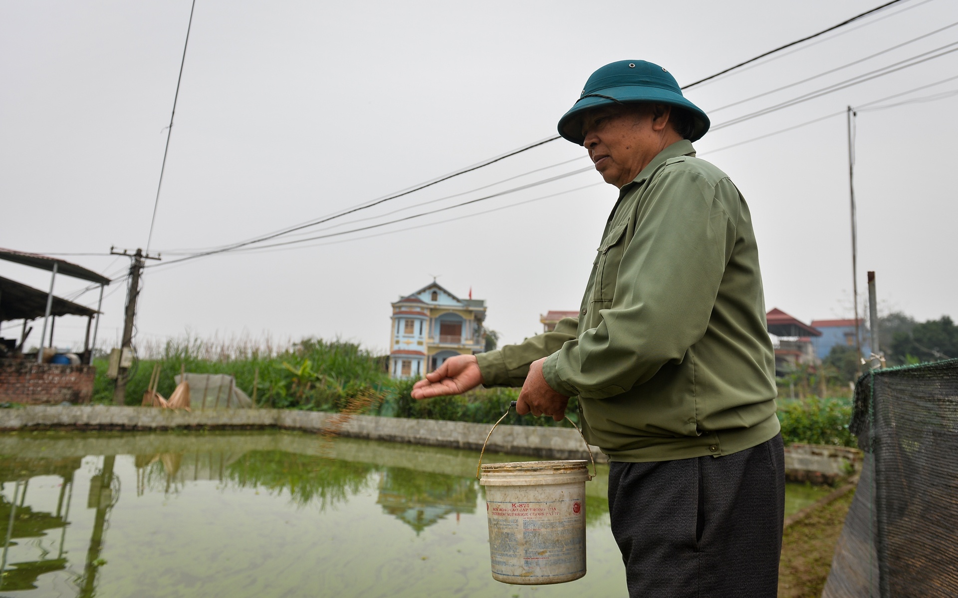 Giá cá chép đỏ ảnh 1 Gia ca chep do anh 1