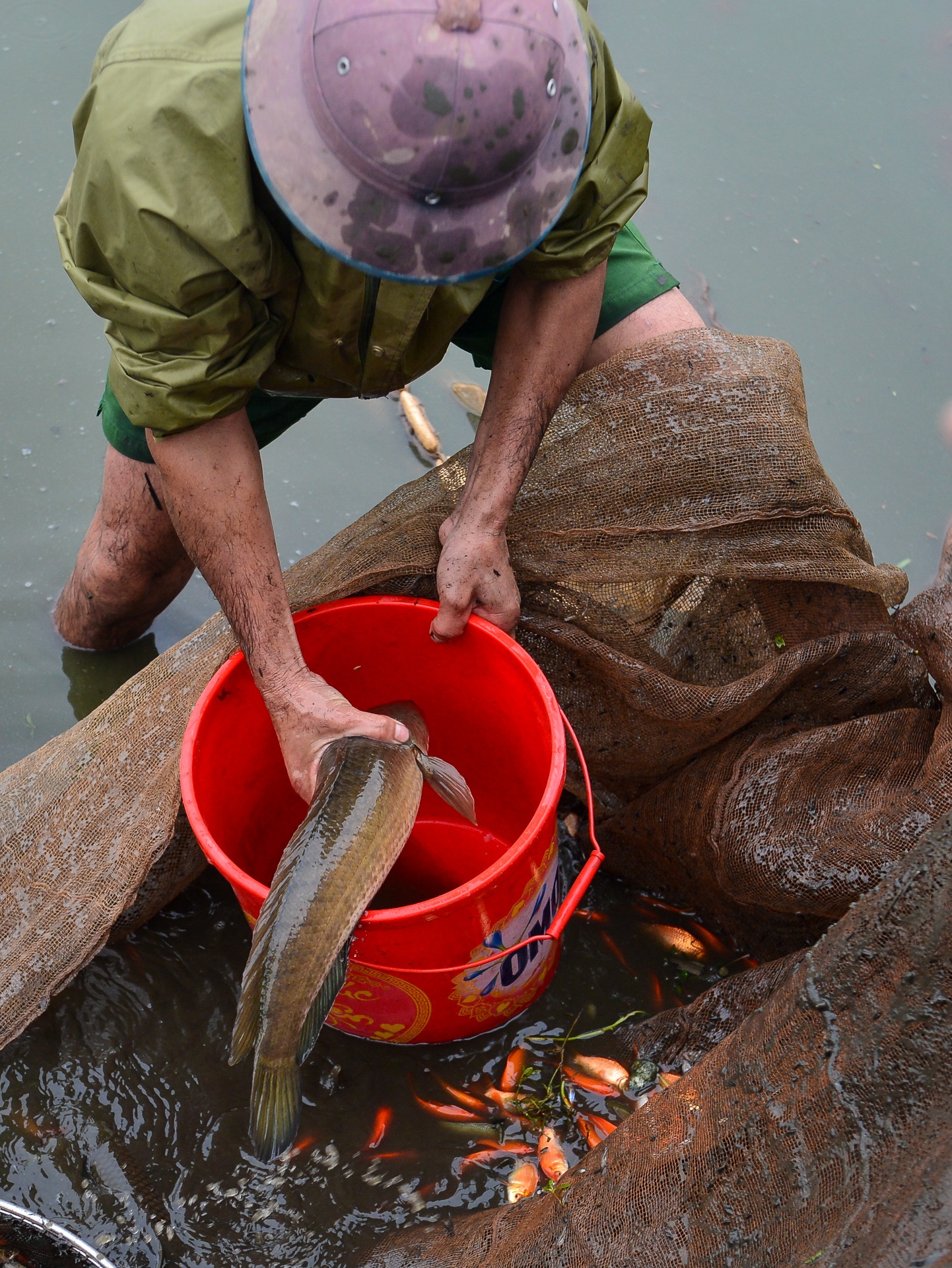 lang ca chep Thuy Tram anh 4