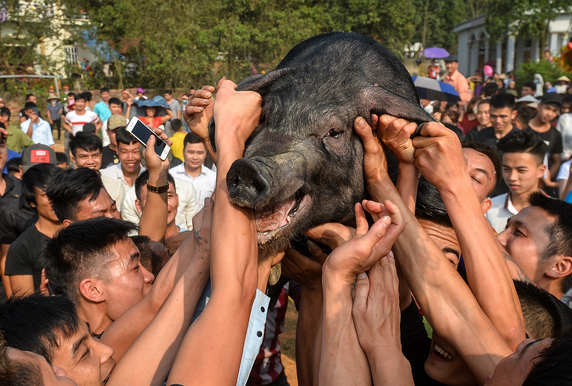 bat lon cau may anh 10