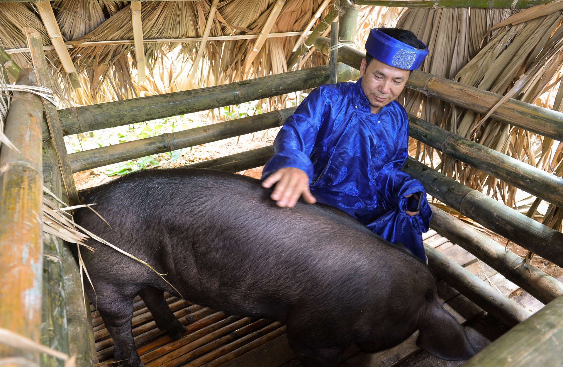 bat lon cau may anh 2