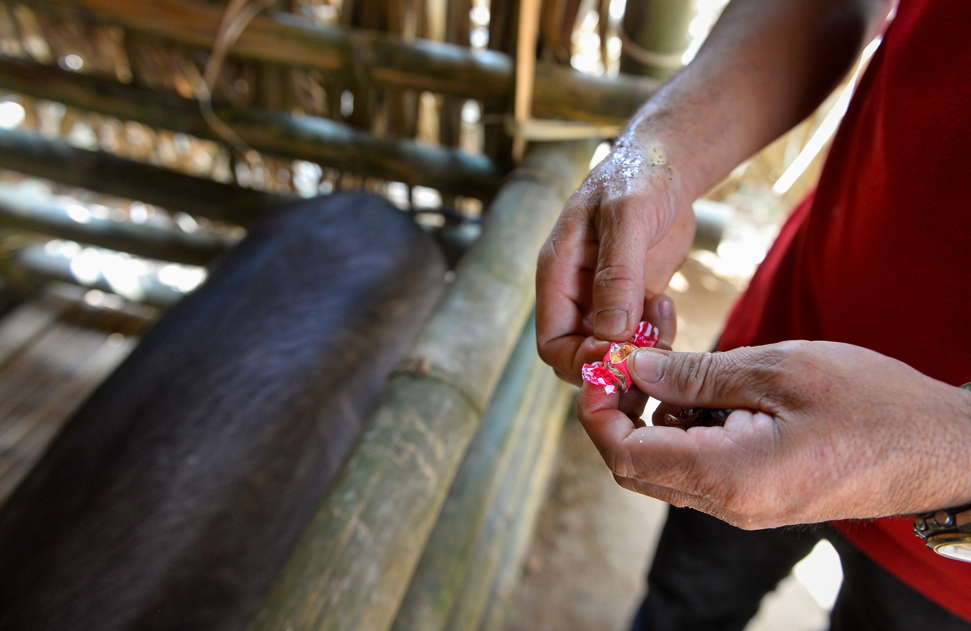 bat lon cau may anh 4