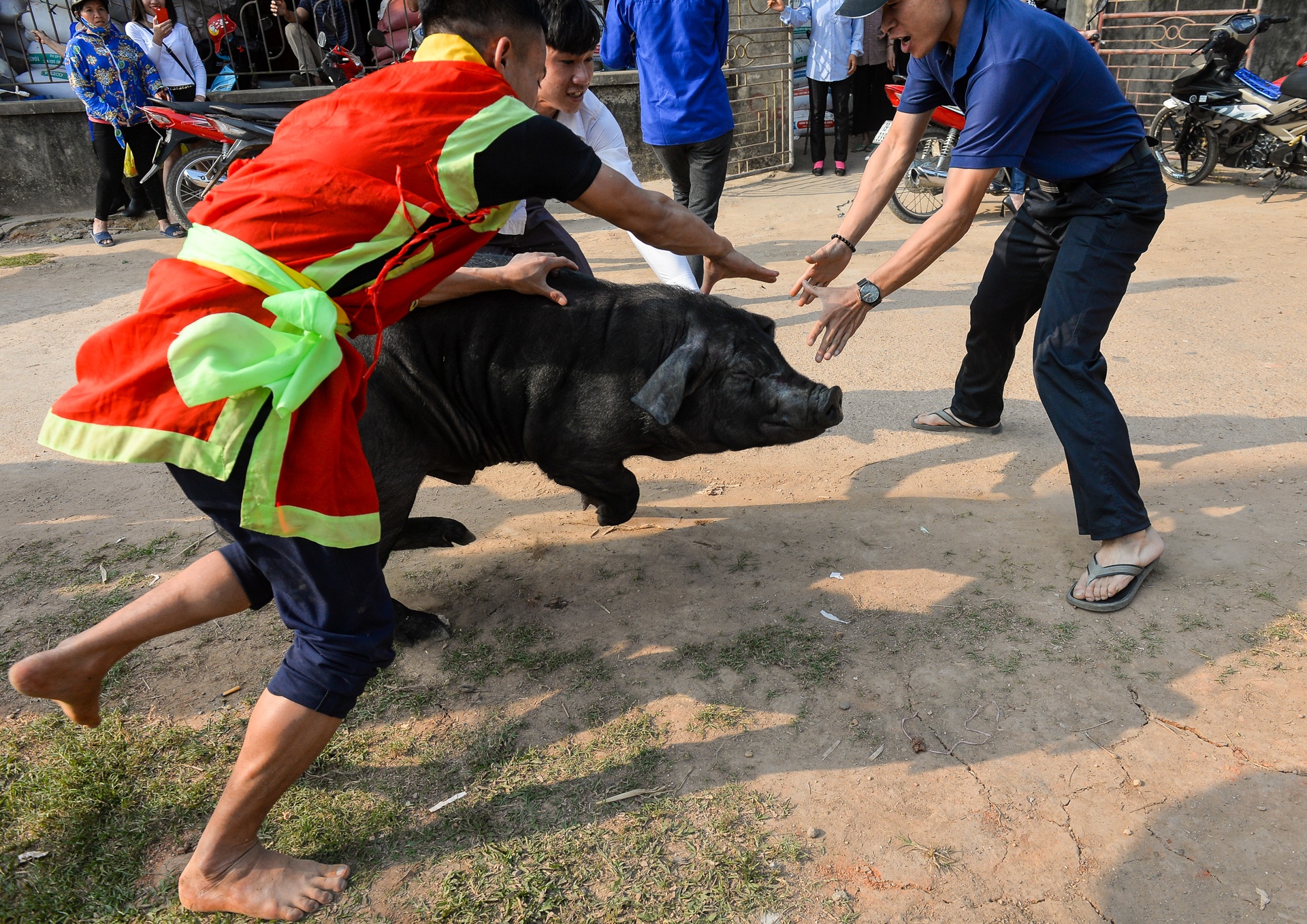 bat lon cau may anh 8