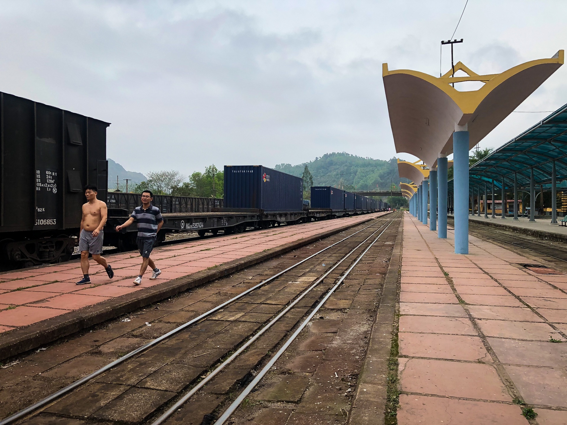 Ga Dong Dang dong cua anh 6