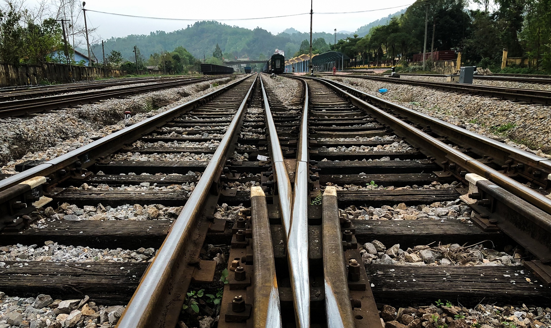 Ga Dong Dang dong cua anh 7