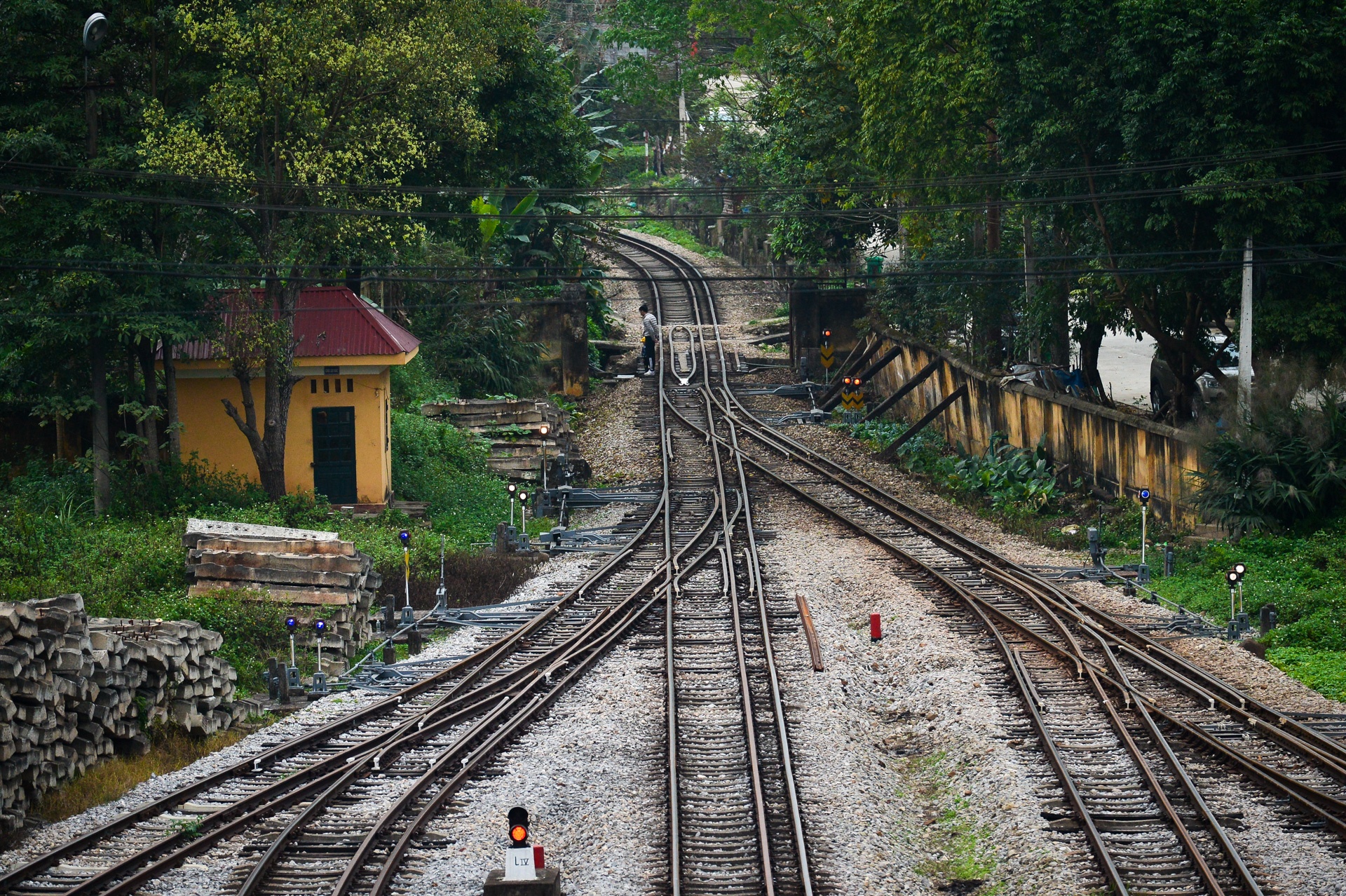 Ga Dong Dang dong cua anh 8
