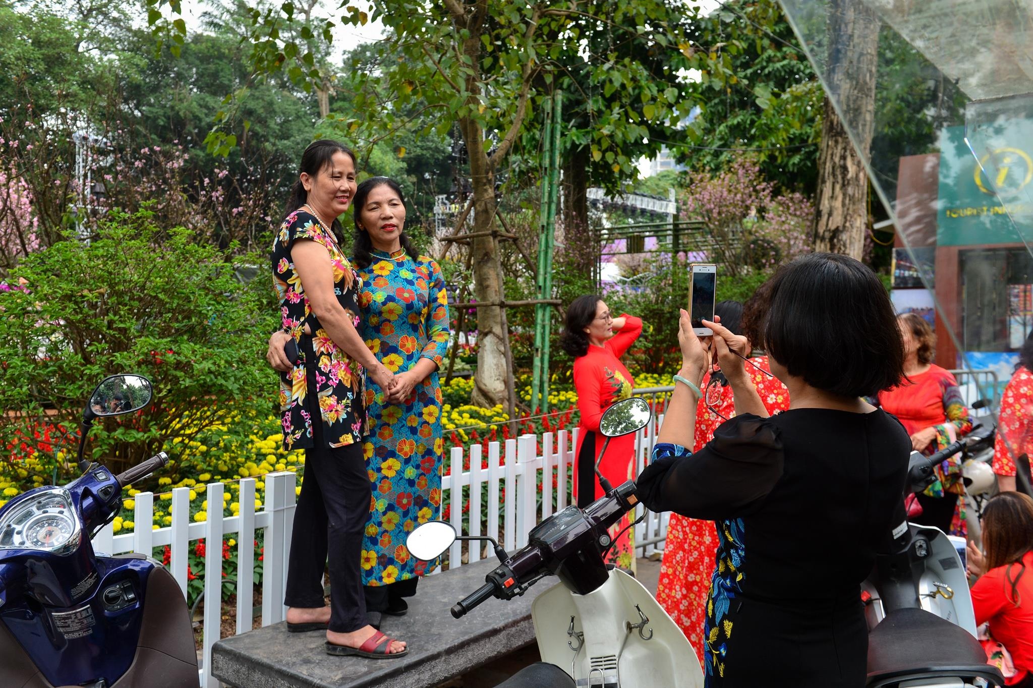 le hoi hoa anh dao 2019 anh 3