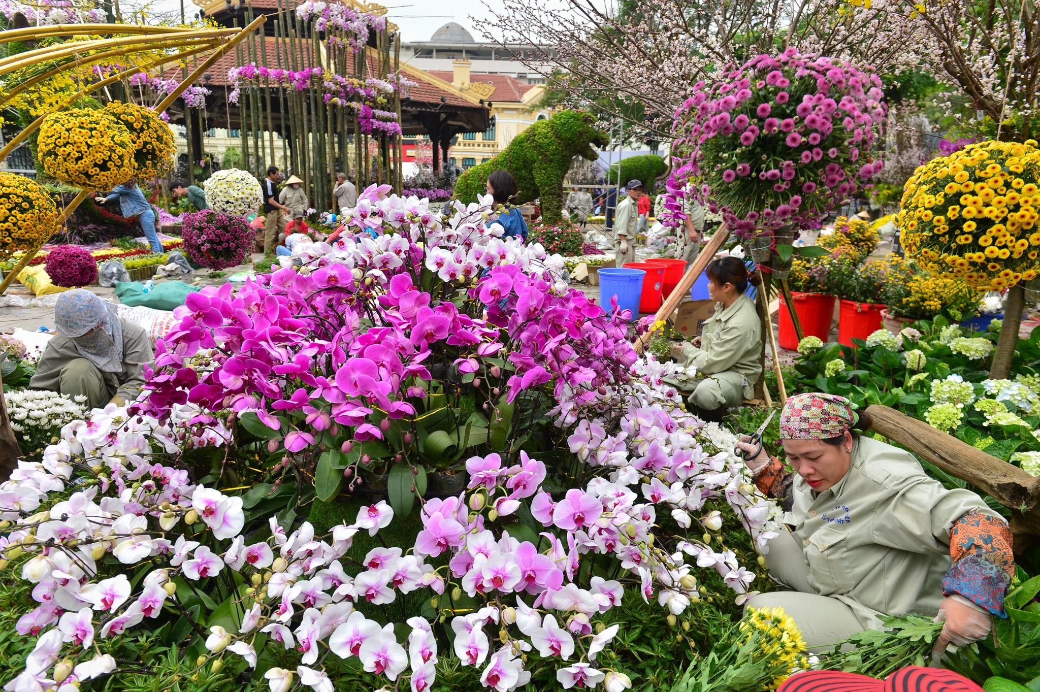 le hoi hoa anh dao 2019 anh 6