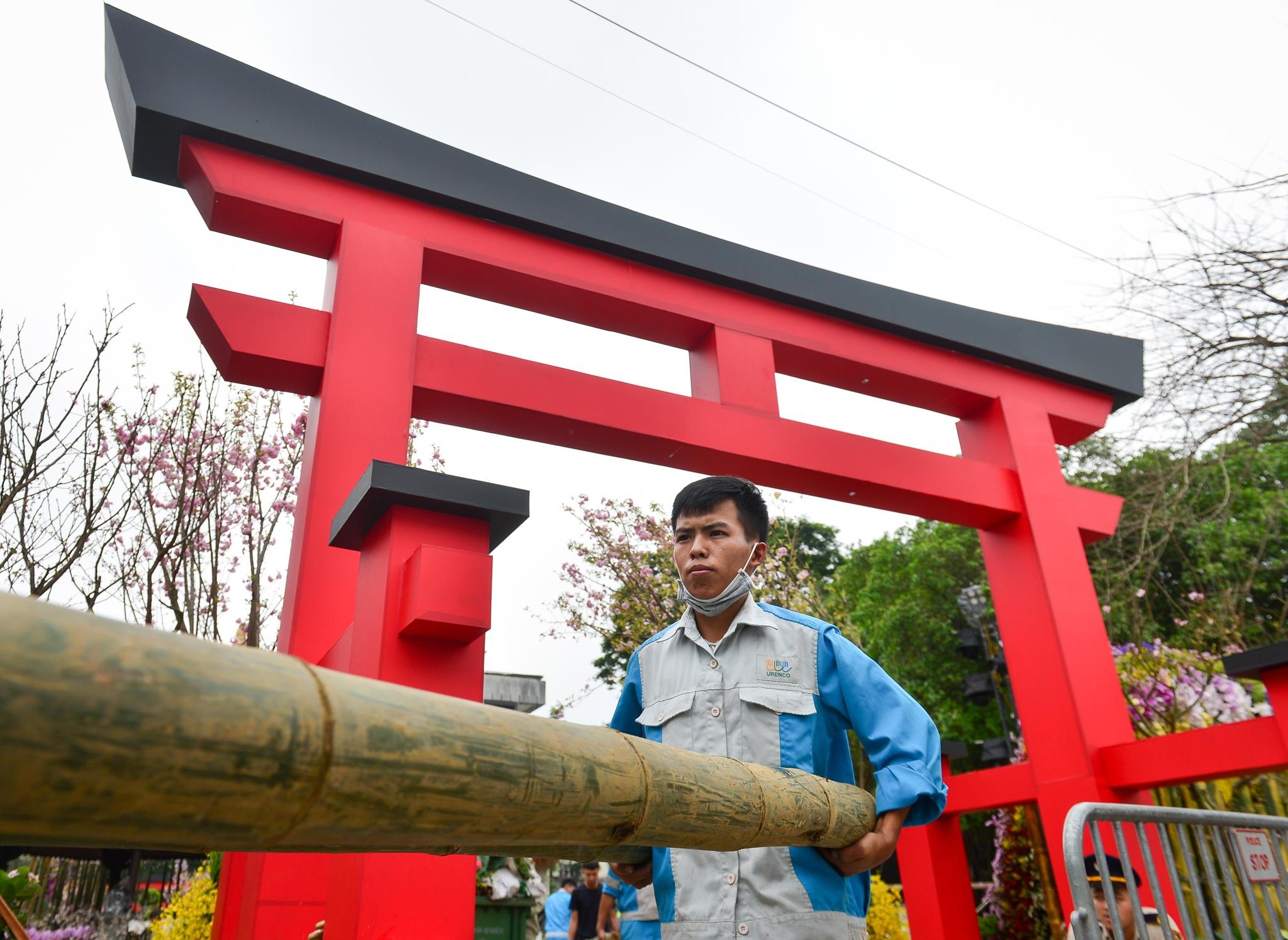 le hoi hoa anh dao 2019 anh 8