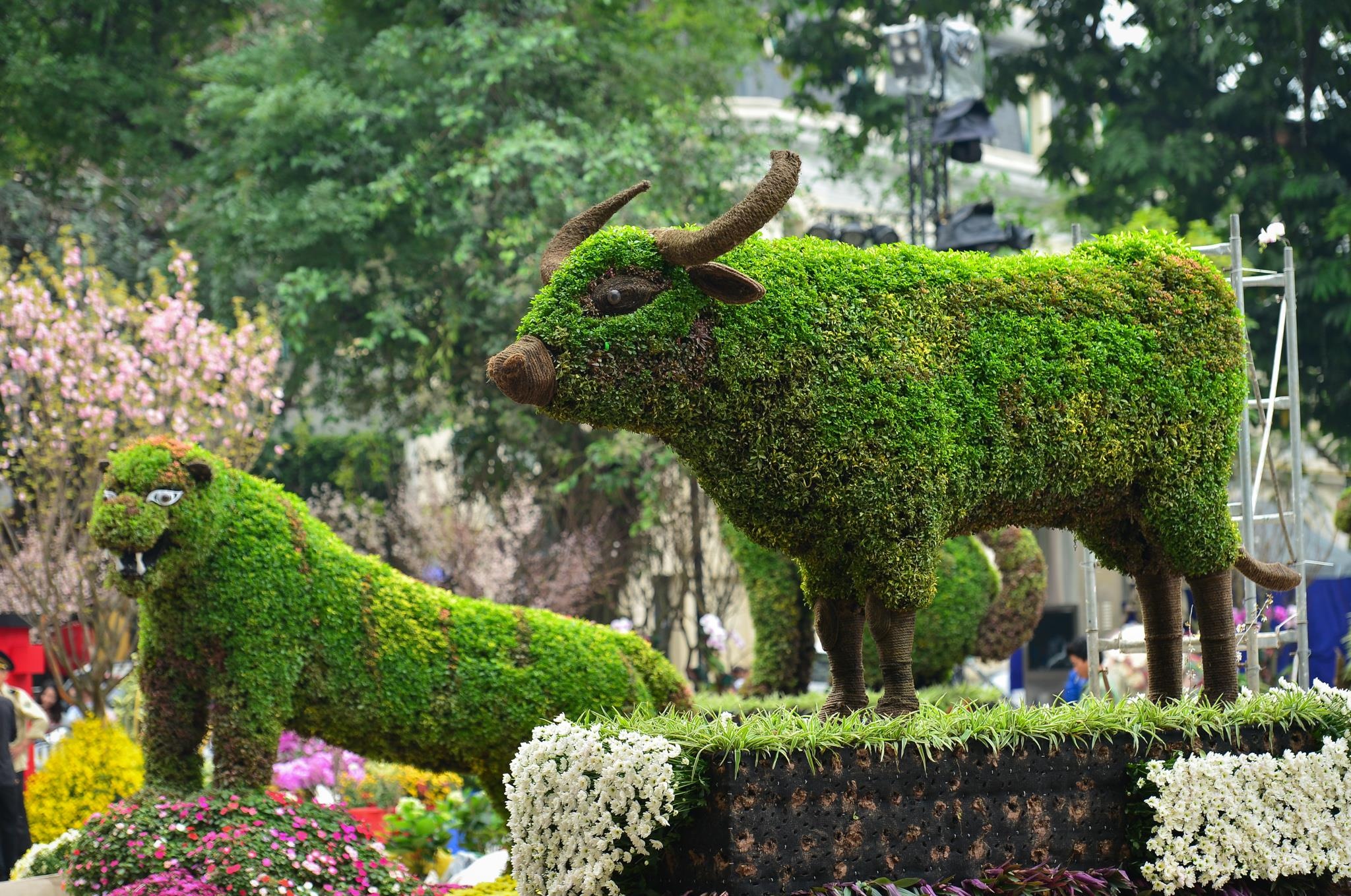 le hoi hoa anh dao 2019 anh 9